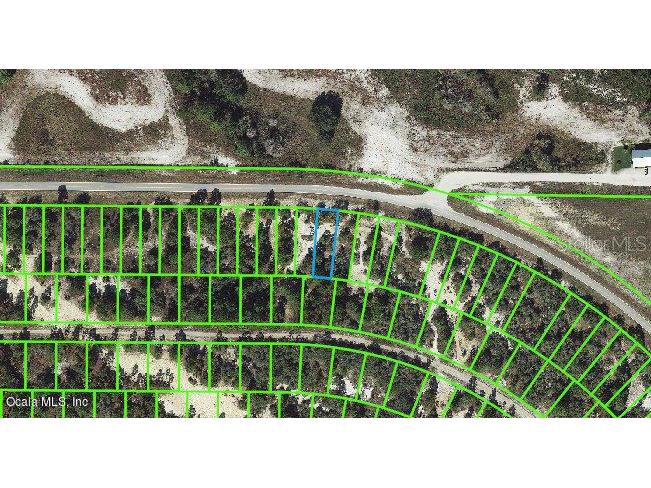 733 Cr 29 Lake Placid FL 33852 OM542117 image1
