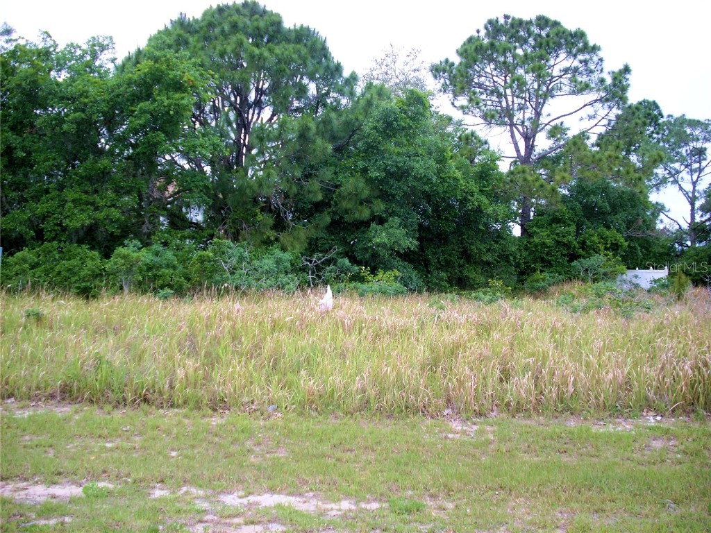 733 James Court Poinciana FL 34759 S5066045 image1