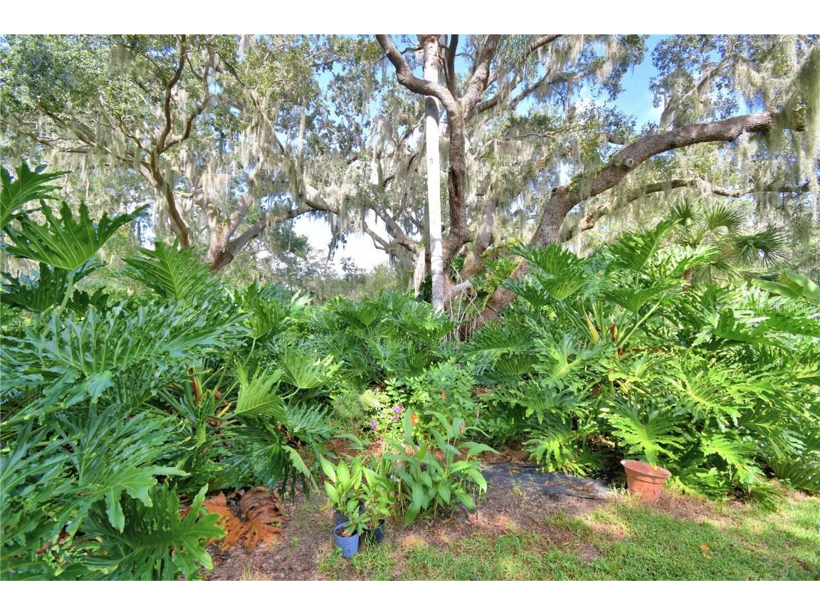 733 N Lake Reedy Boulevard Frostproof FL 33843 - LAKE REEDY K4903093 image78