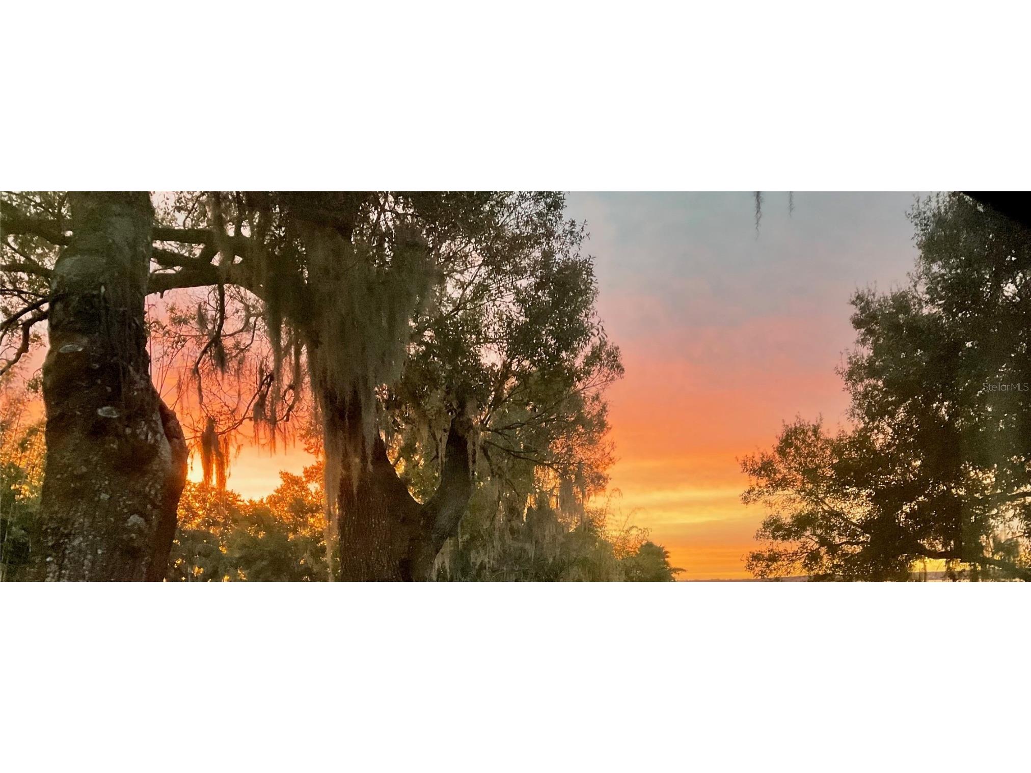 733 N Lake Reedy Boulevard Frostproof FL 33843 - LAKE REEDY K4903093 image82