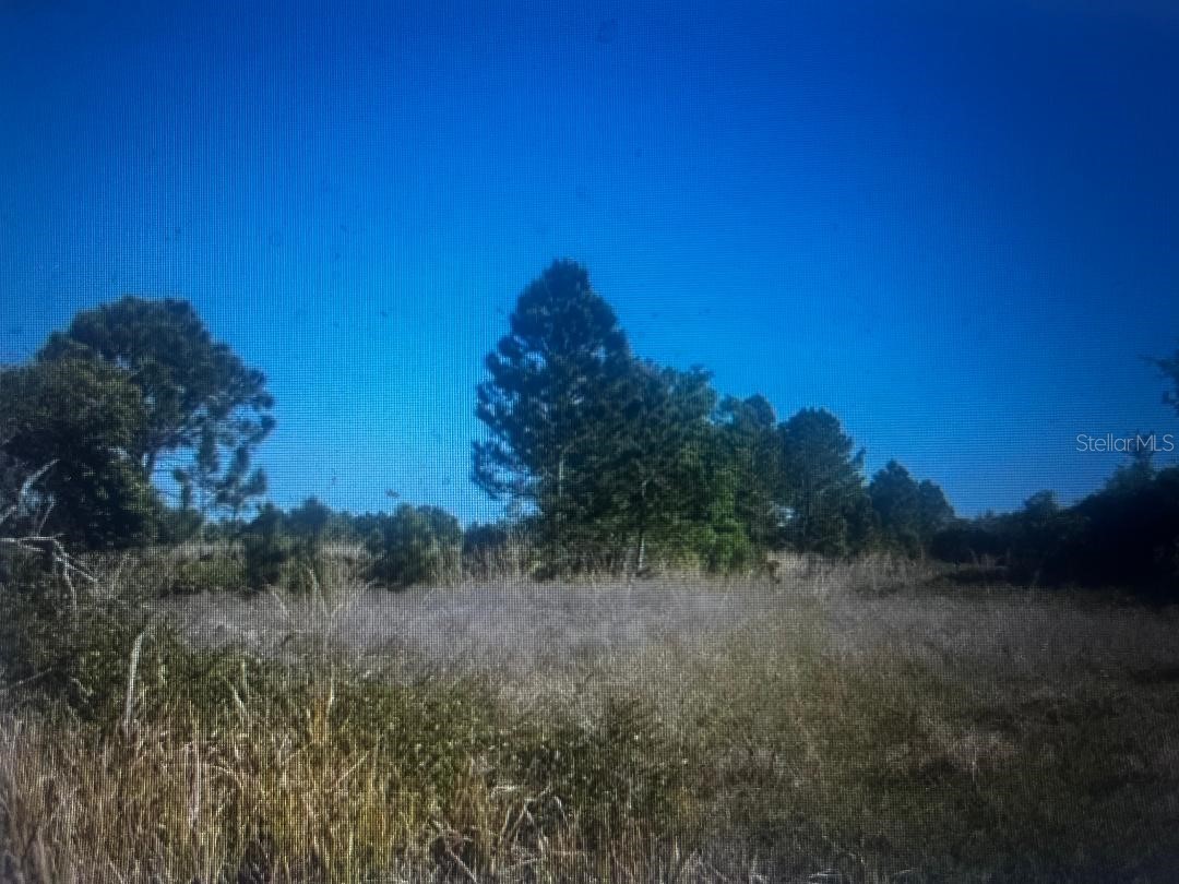 733 N Tarry Lane Lorida FL 33857 OM724122 image1
