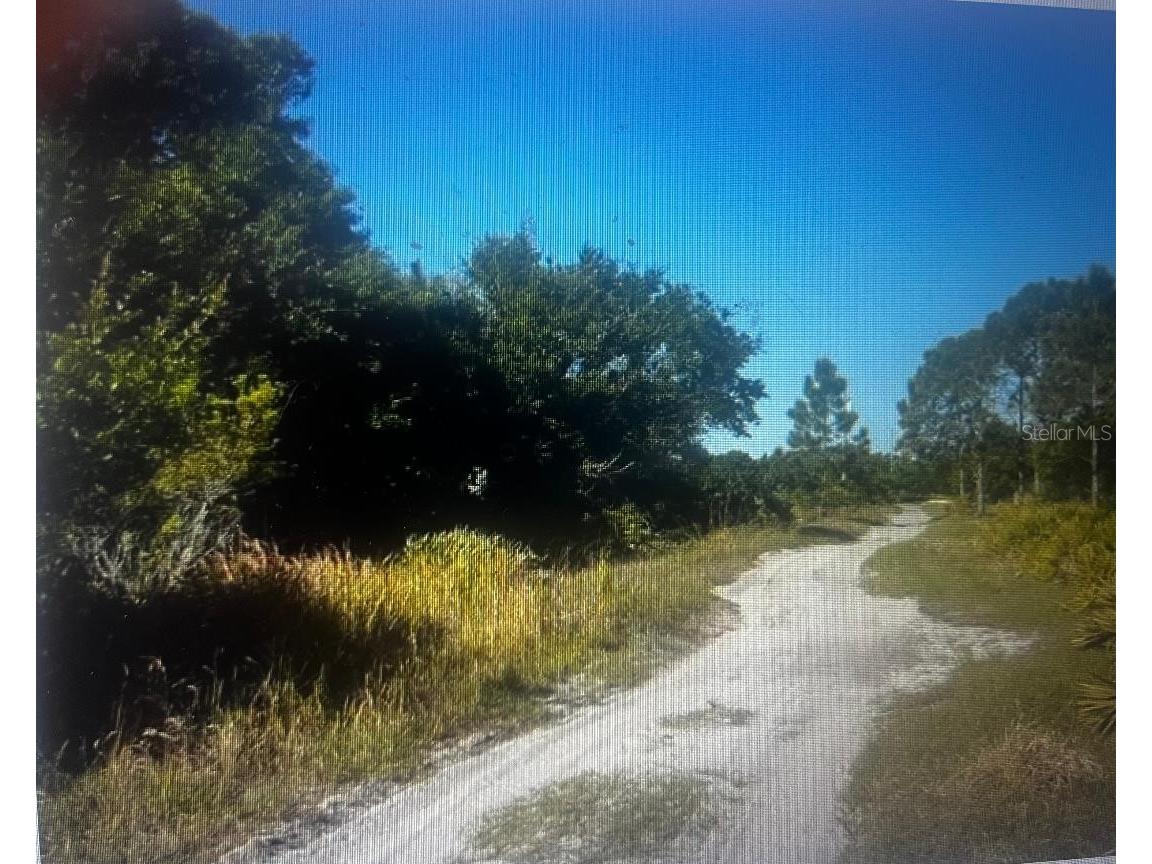 733 N Tarry Lane Lorida FL 33857 OM724122 image2