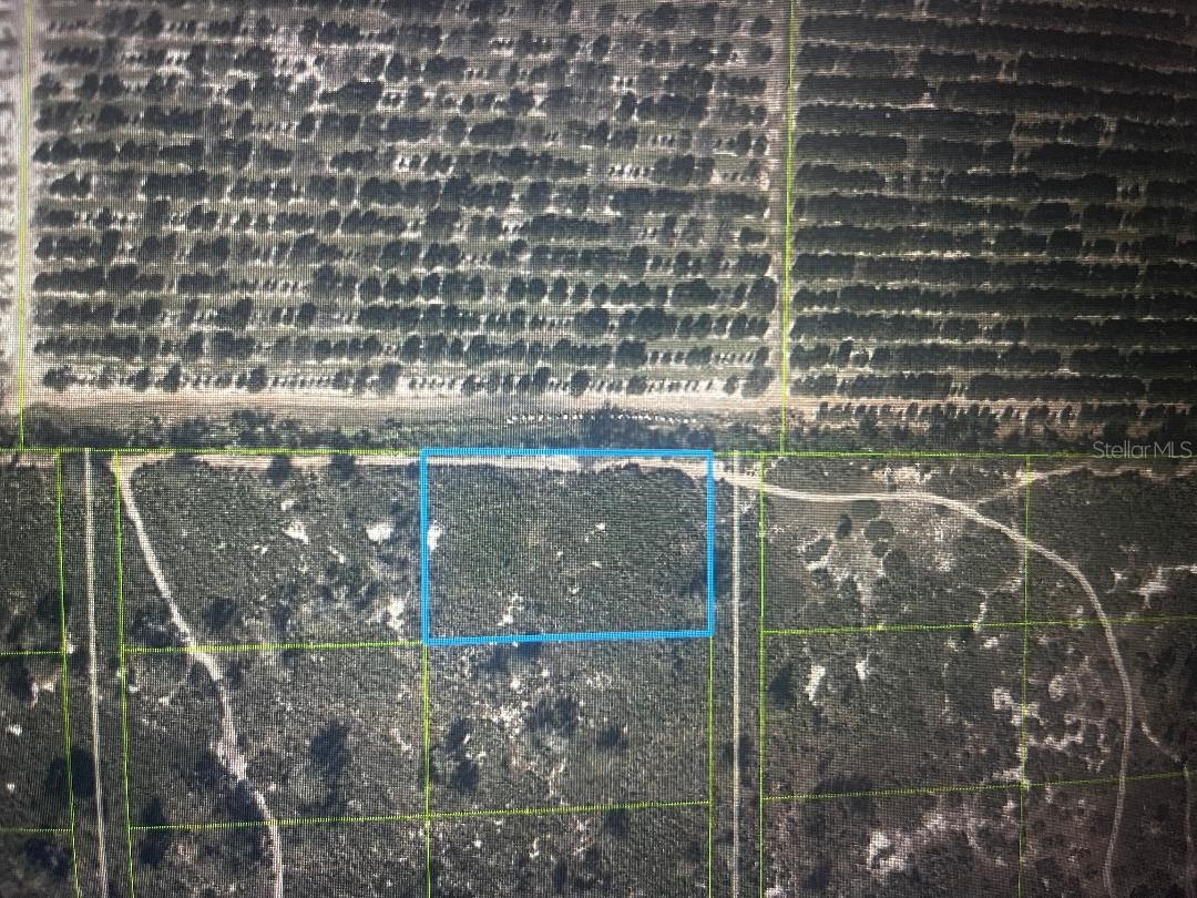 733 N Tarry Lane Lorida FL 33857 OM724122 image3