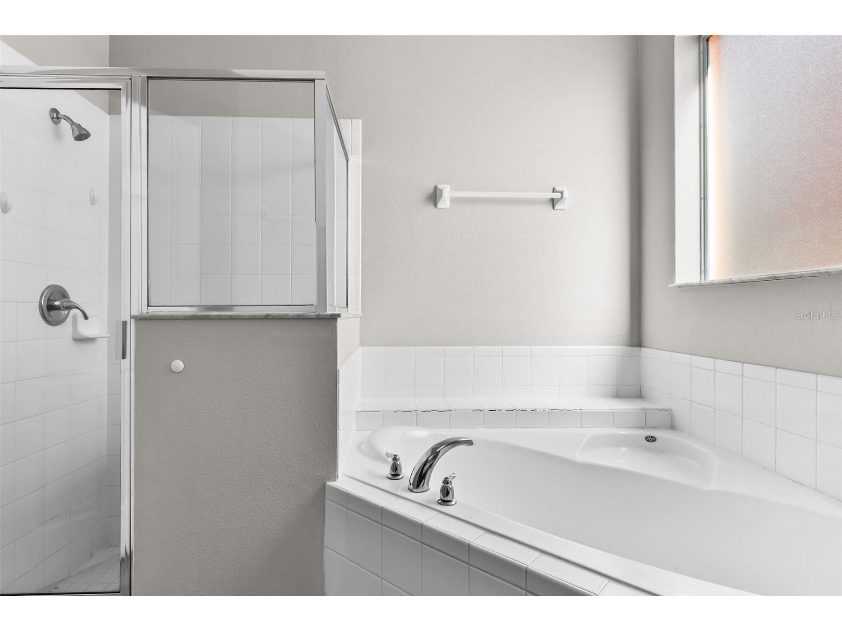 733 Orange Cosmos Boulevard Davenport FL 33837 L4958410 image22