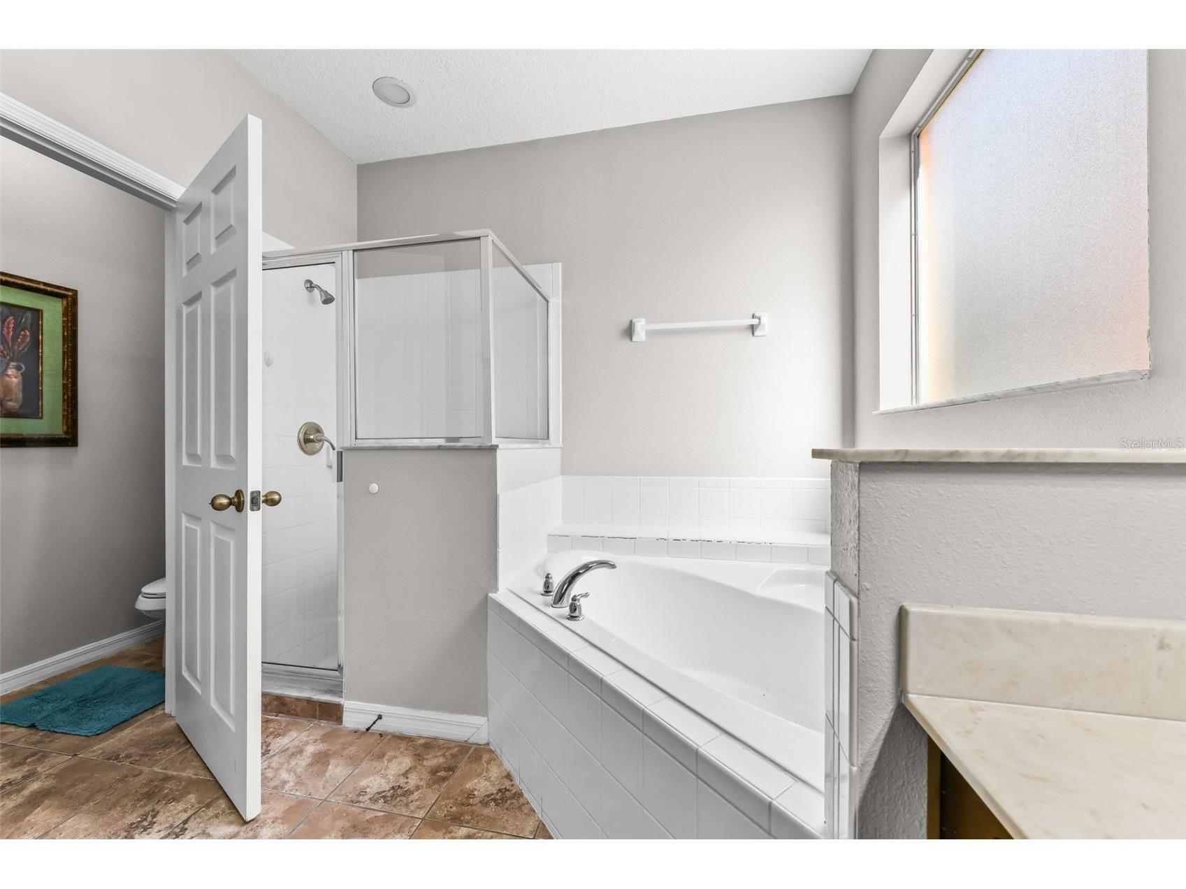 733 Orange Cosmos Boulevard Davenport FL 33837 L4958410 image25