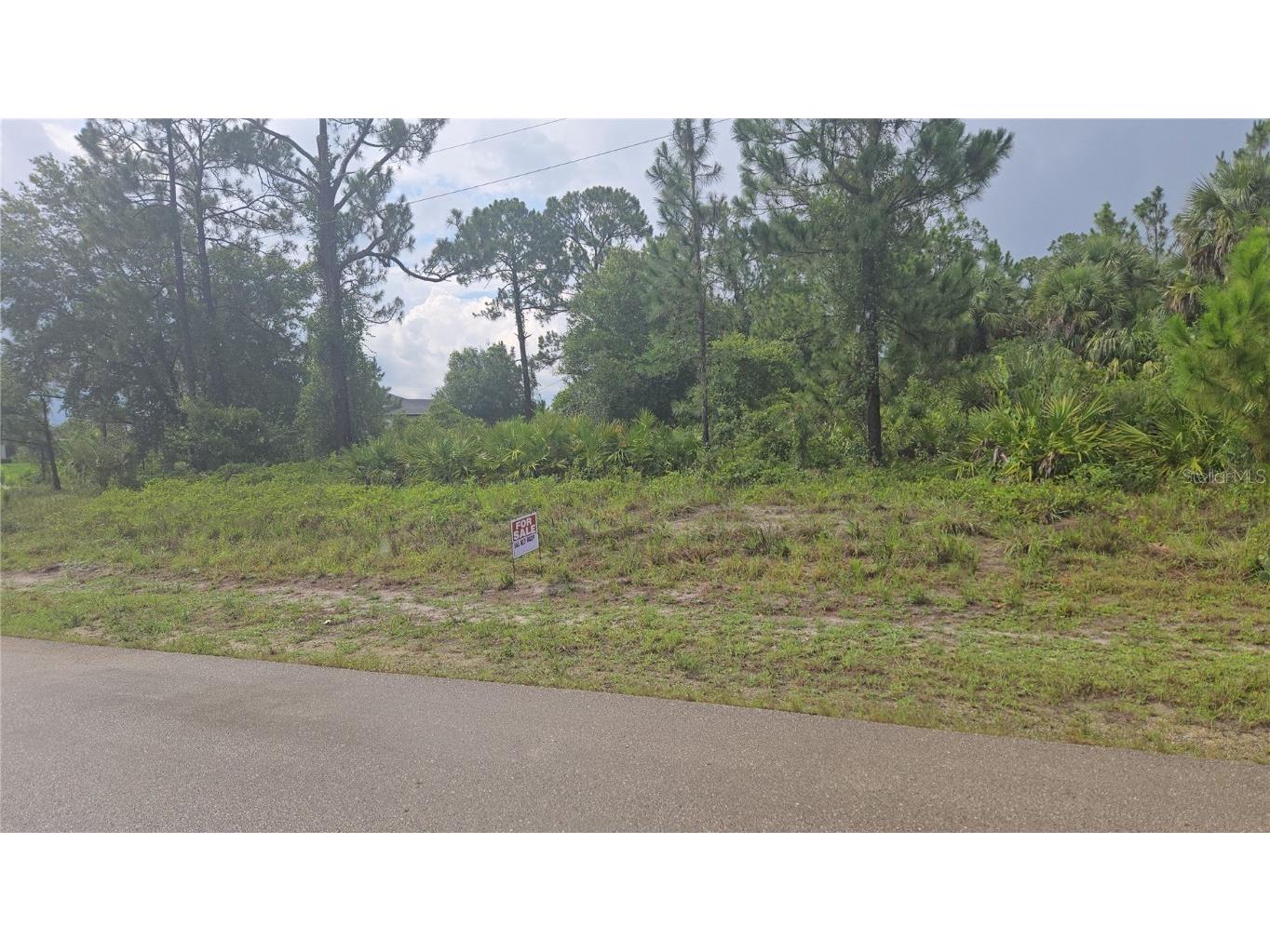 733 Palmer Street E Lehigh Acres FL 33974 S5130822 image1