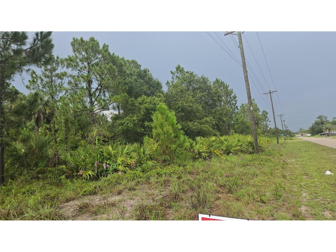 733 Palmer Street E Lehigh Acres FL 33974 S5130822 image2