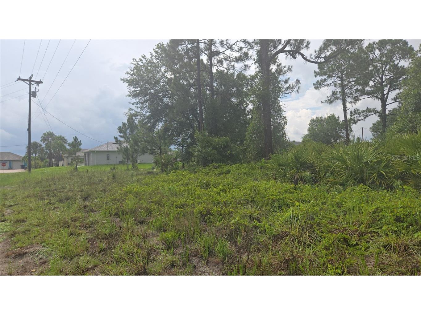 733 Palmer Street E Lehigh Acres FL 33974 S5130822 image3