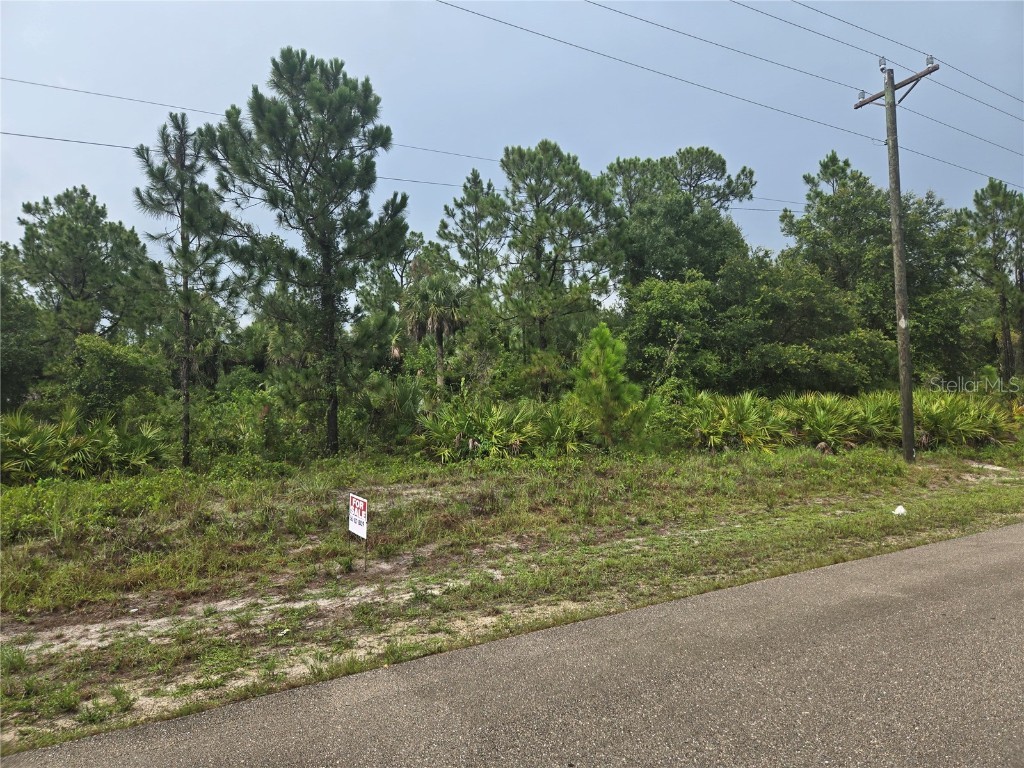 733 Palmer Street E Lehigh Acres FL 33974 S5130822 image4