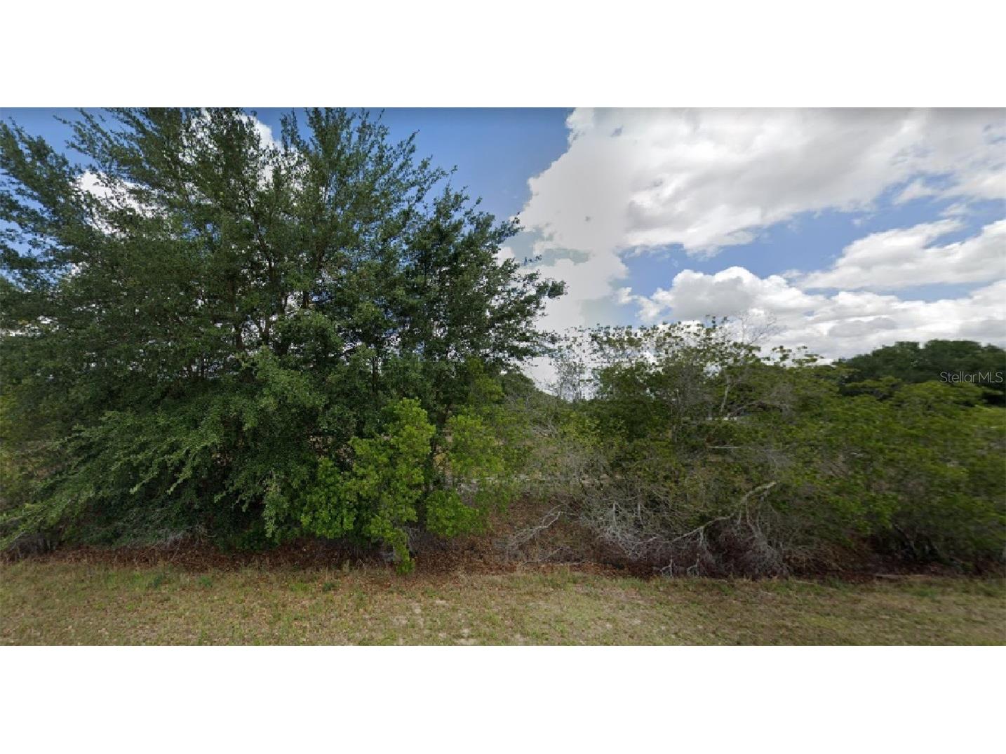 733 S Dickey Road Avon Park FL 33825 O6130014 image1