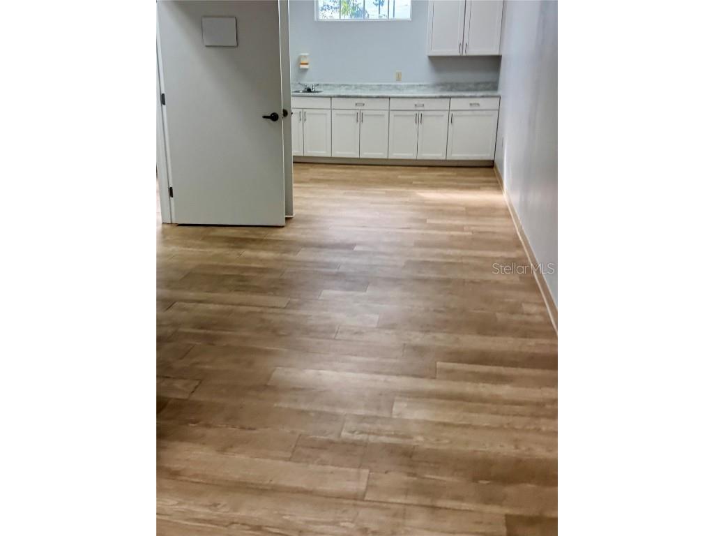 733 S Goldenrod Road Orlando FL 32822 O6309321 image16