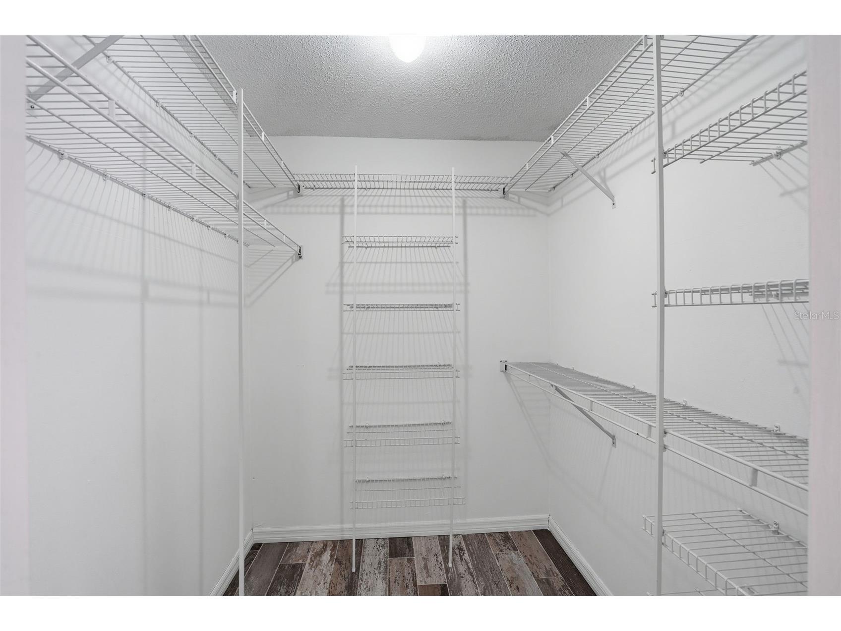 733 Swaying Palm Drive Apopka FL 32712 O6418203 image29