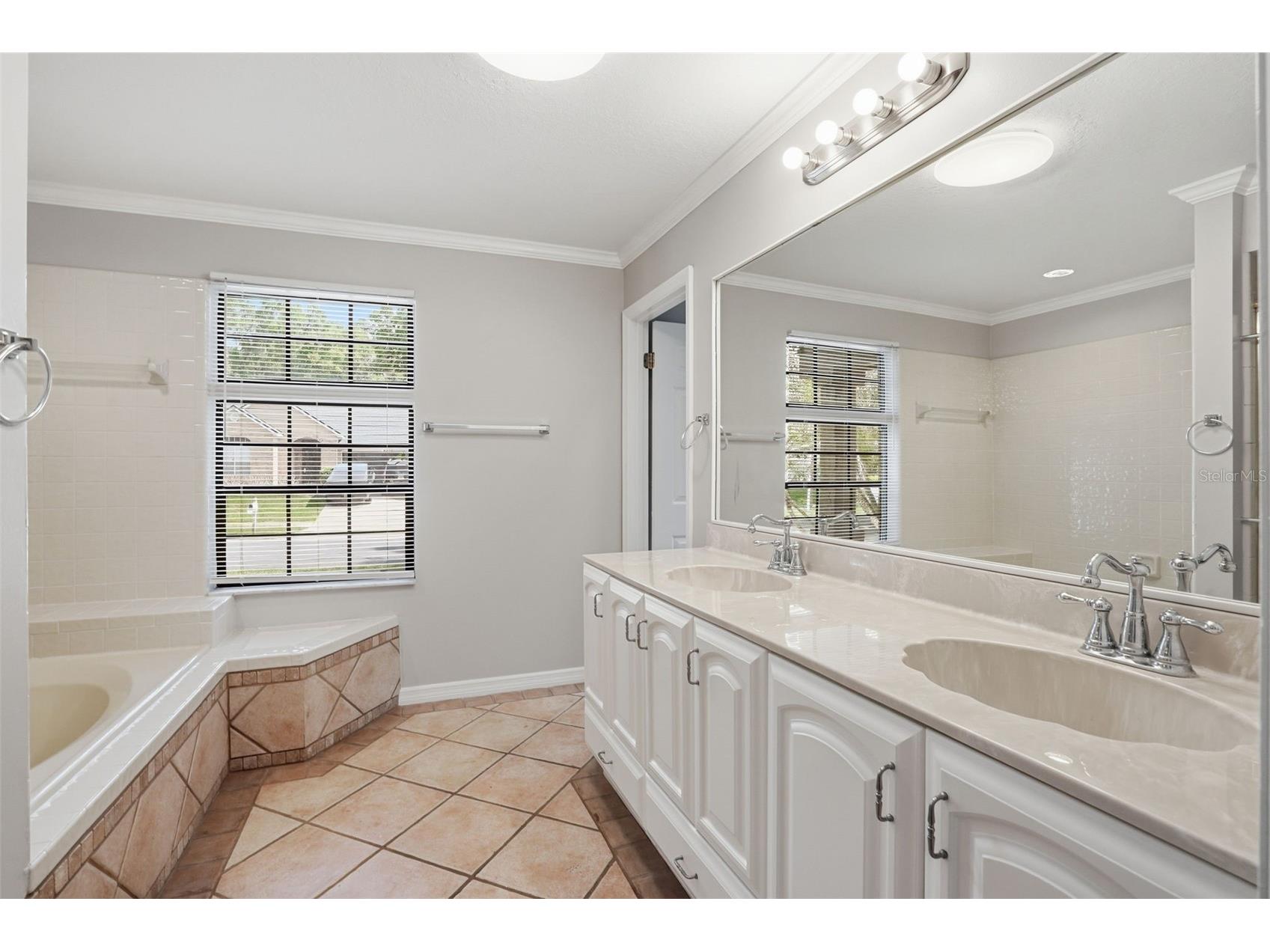 733 Swaying Palm Drive Apopka FL 32712 O6418203 image30