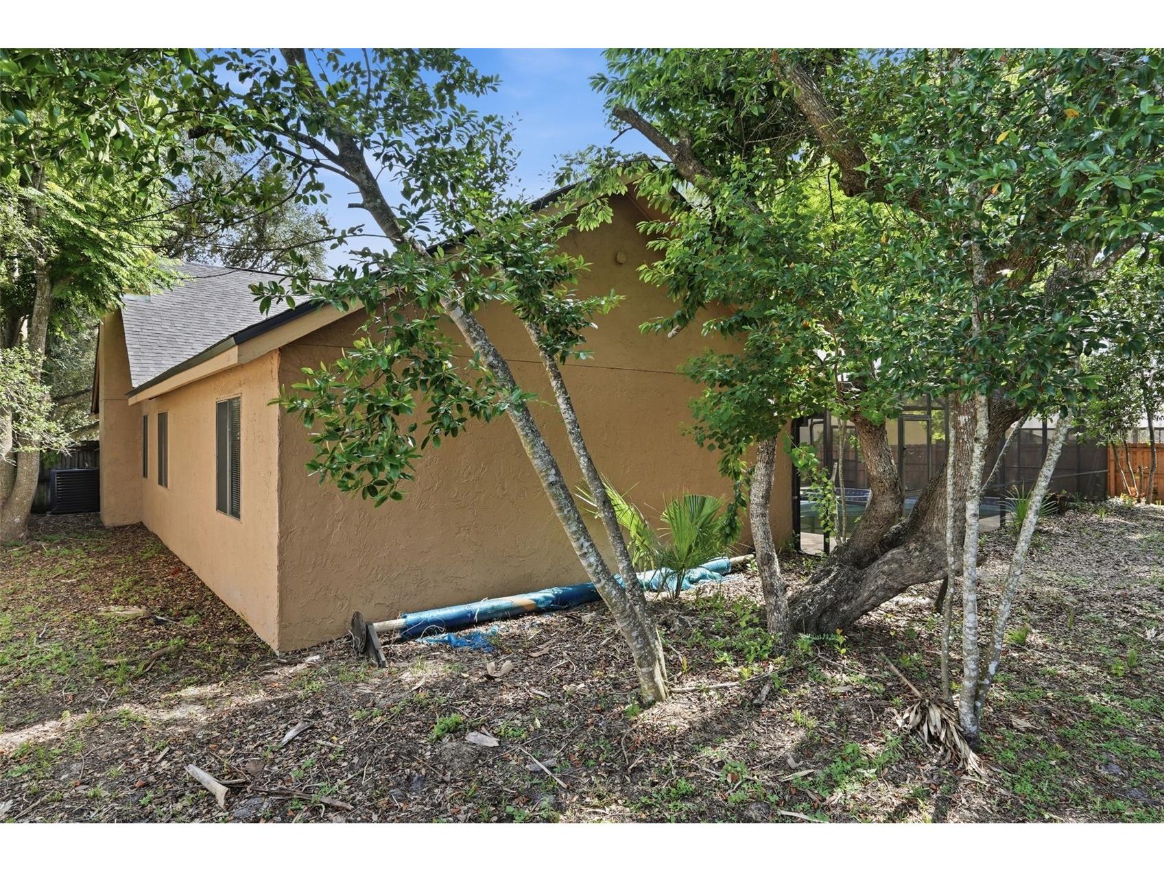 733 Swaying Palm Drive Apopka FL 32712 O6418203 image42