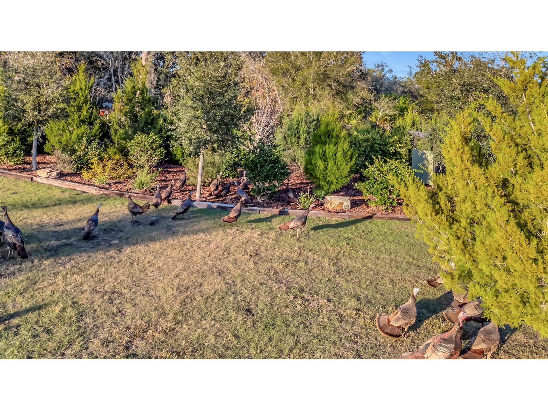 7330 Crabgrass Road Saint Cloud FL 34773 G5105856 image40