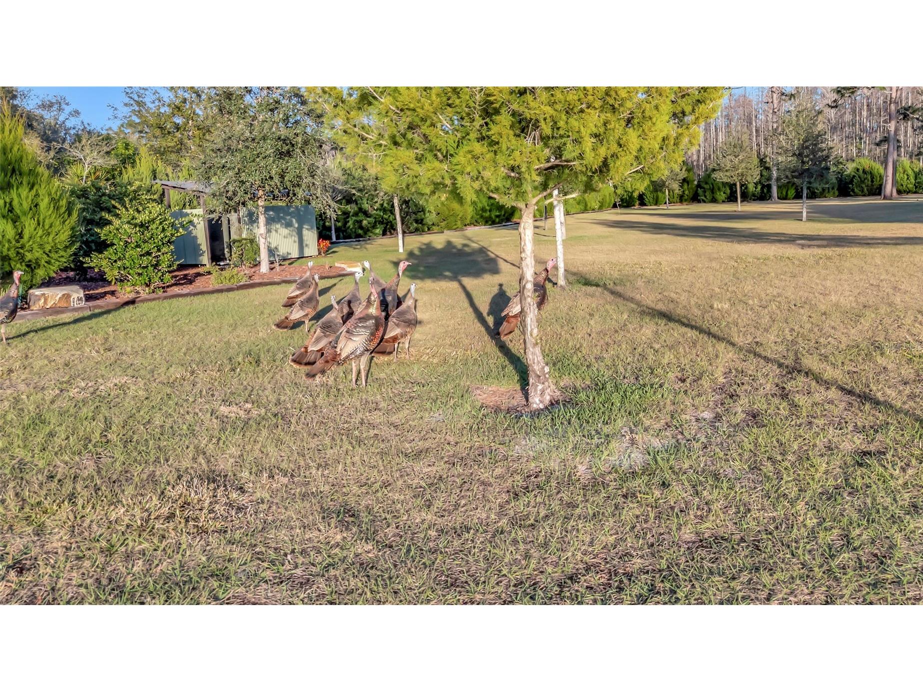 7330 Crabgrass Road Saint Cloud FL 34773 G5105856 image41