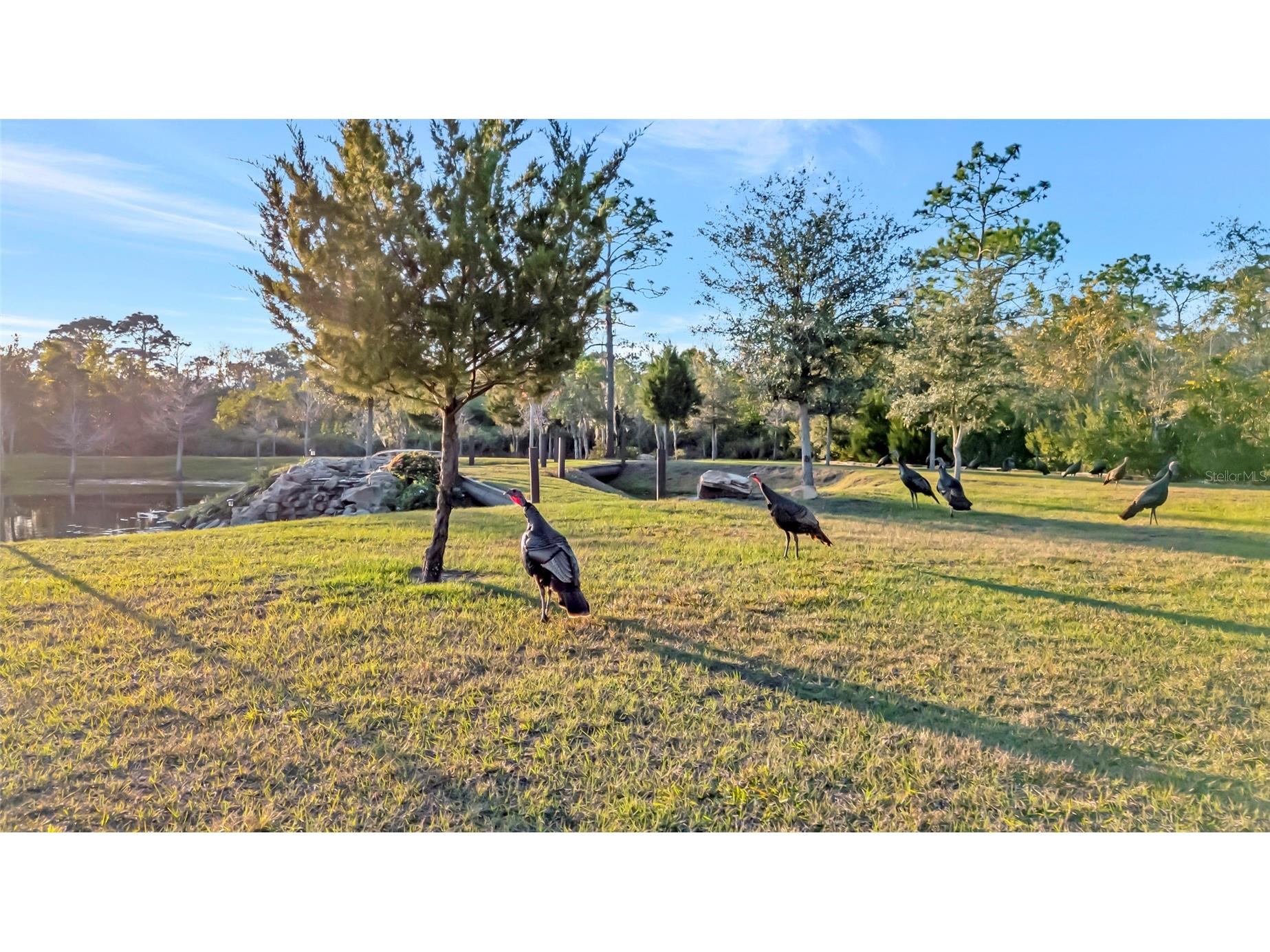 7330 Crabgrass Road Saint Cloud FL 34773 G5105856 image42