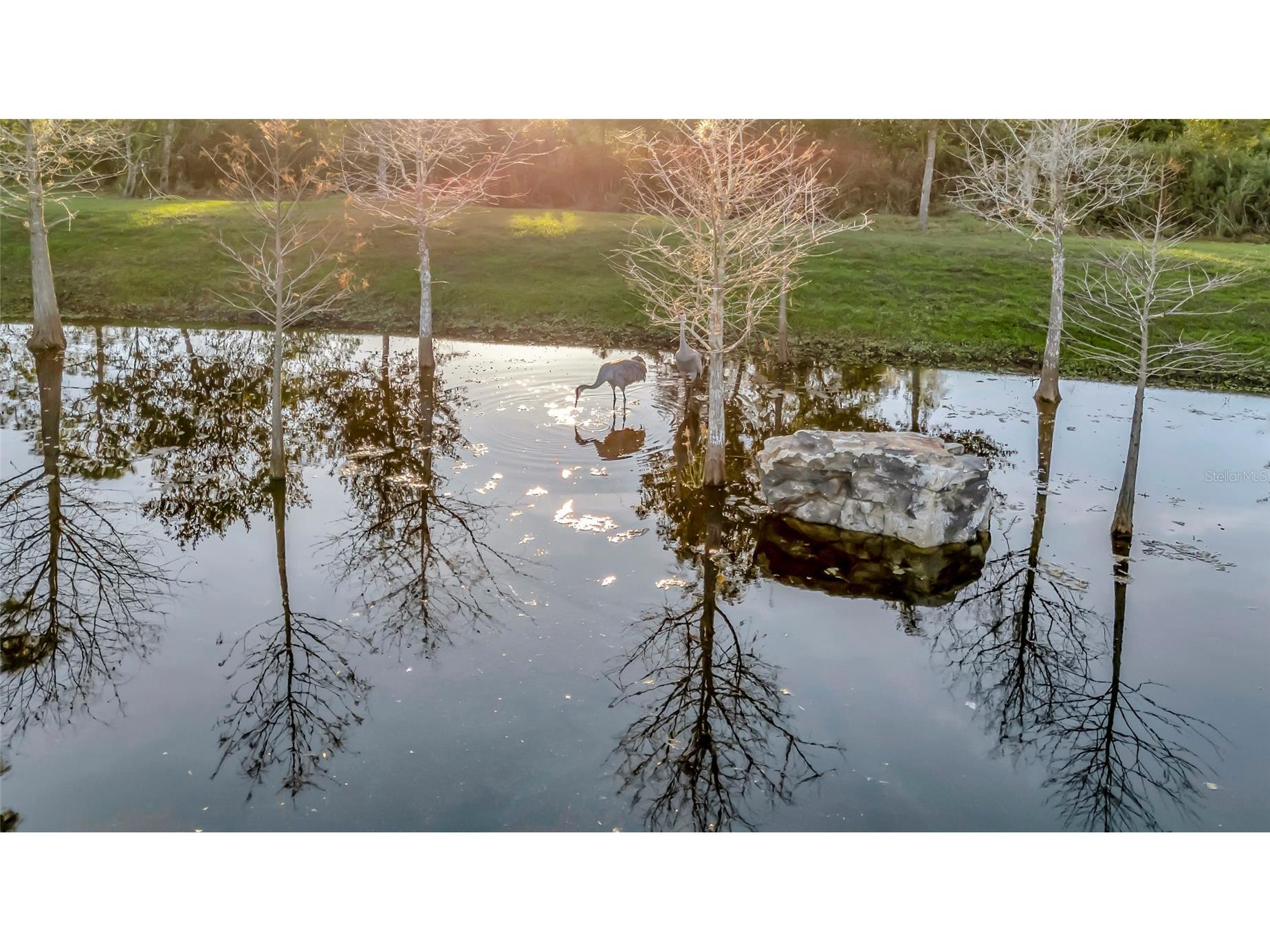 7330 Crabgrass Road Saint Cloud FL 34773 G5105856 image43