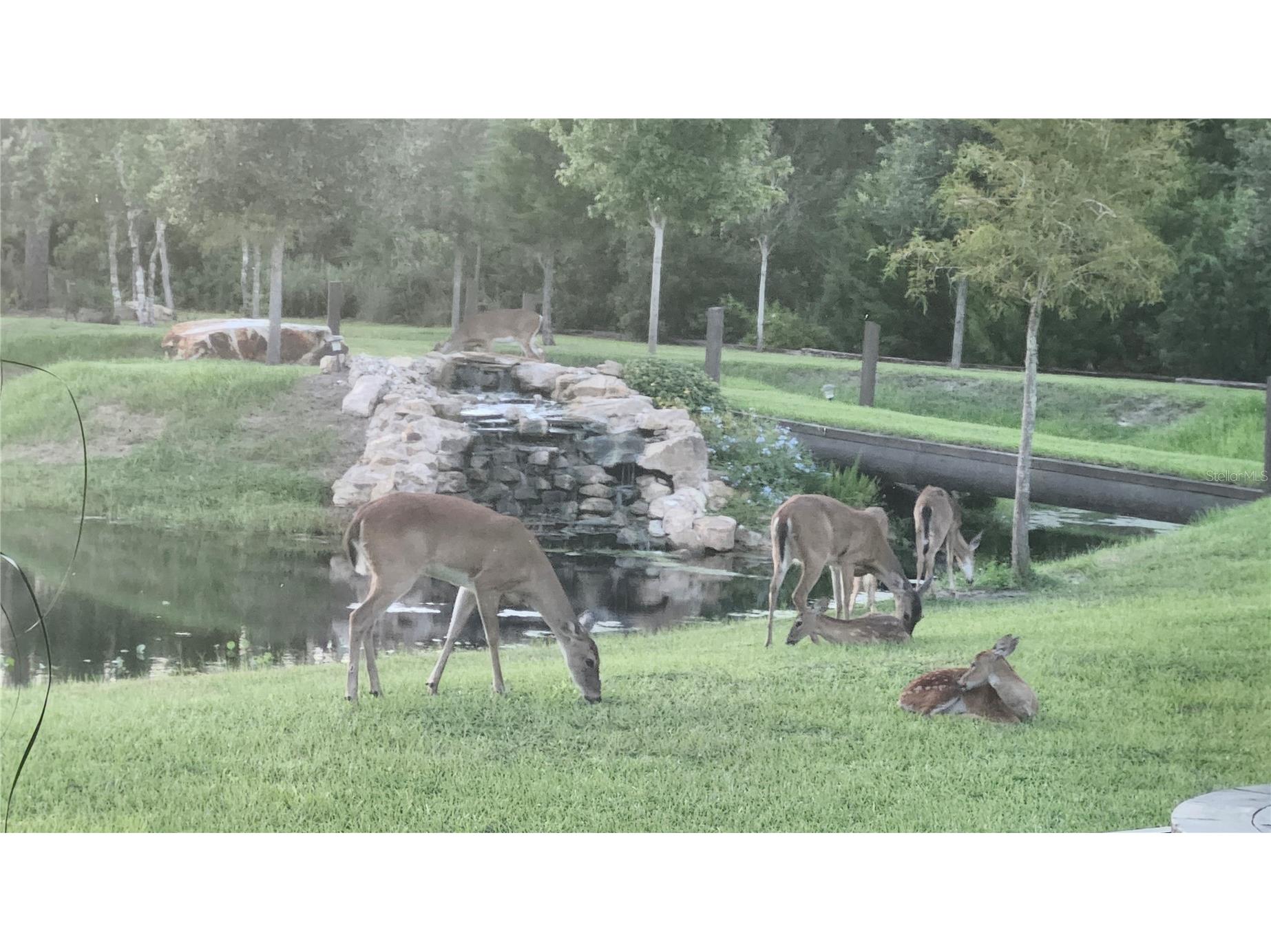 7330 Crabgrass Road Saint Cloud FL 34773 G5105856 image44