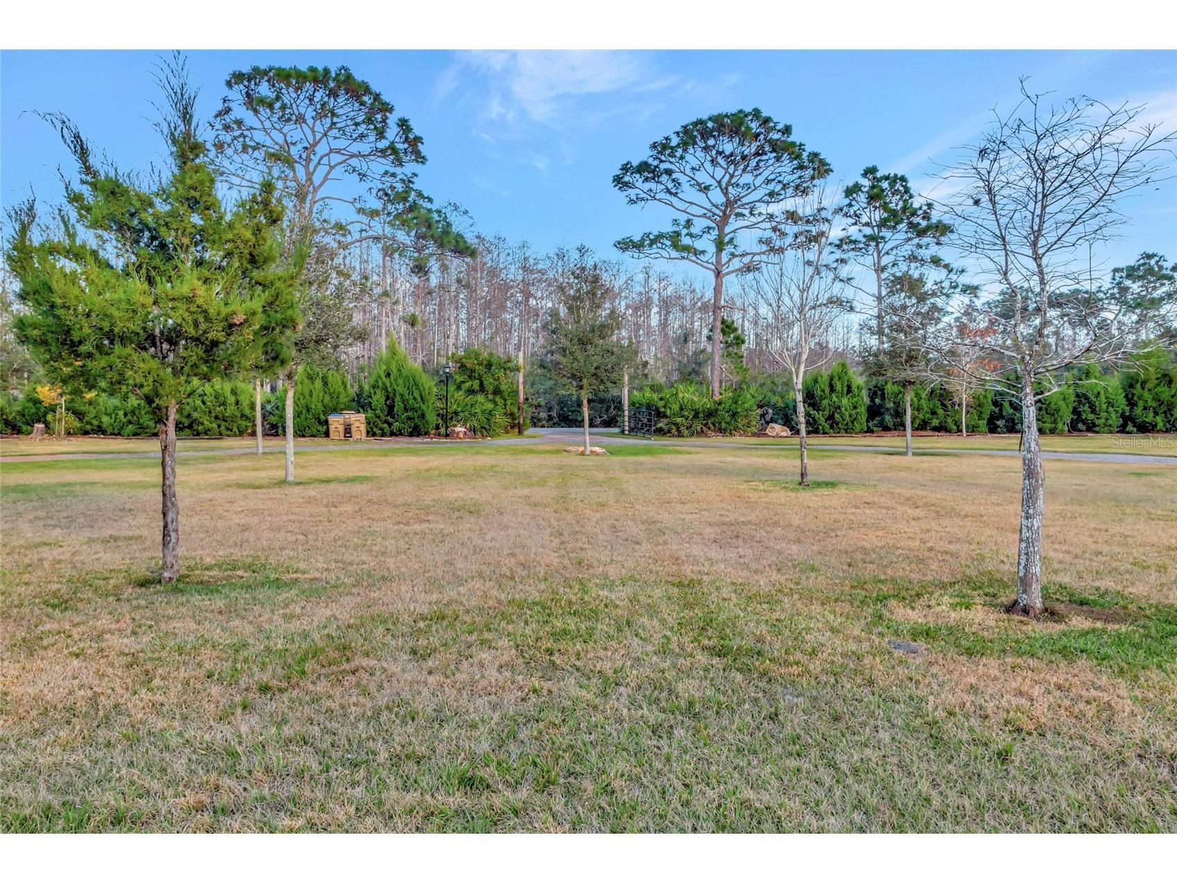 7330 Crabgrass Road Saint Cloud FL 34773 G5105856 image60