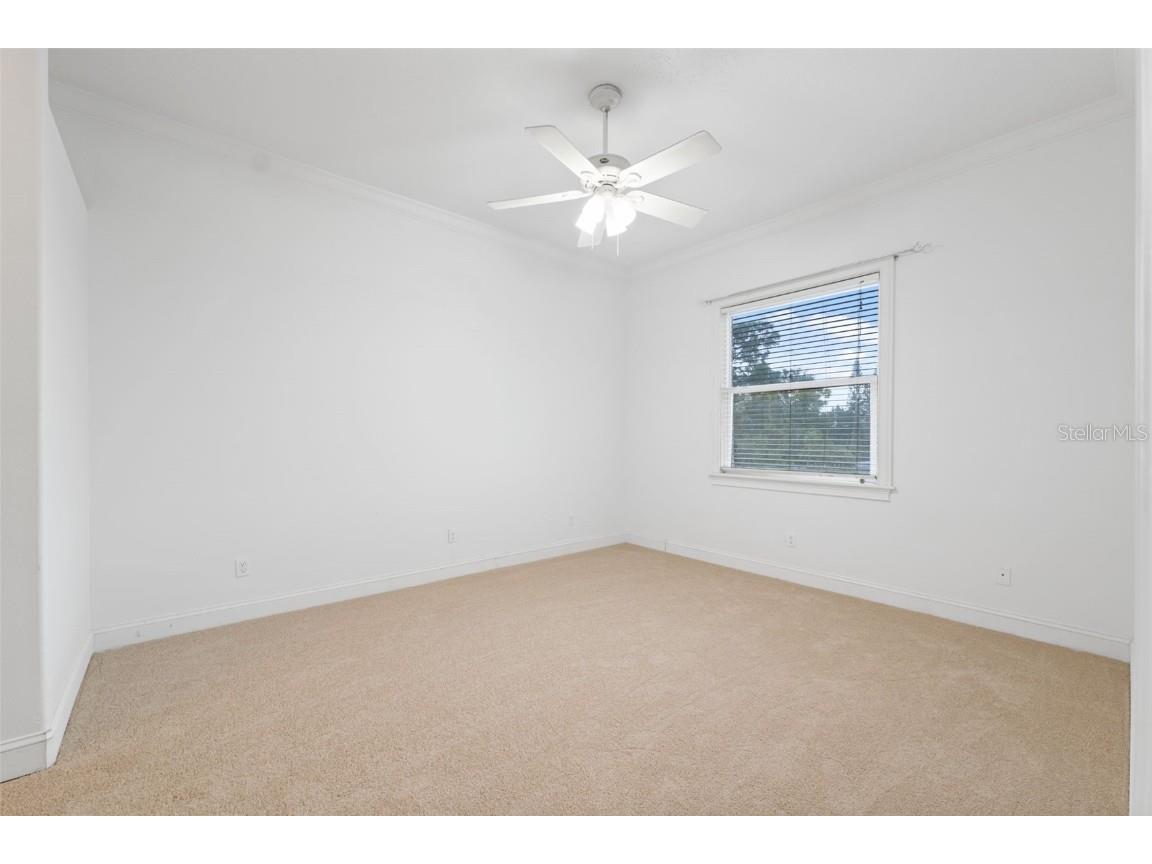 7330 New York Avenue Hudson FL 34667 W7879696 image15