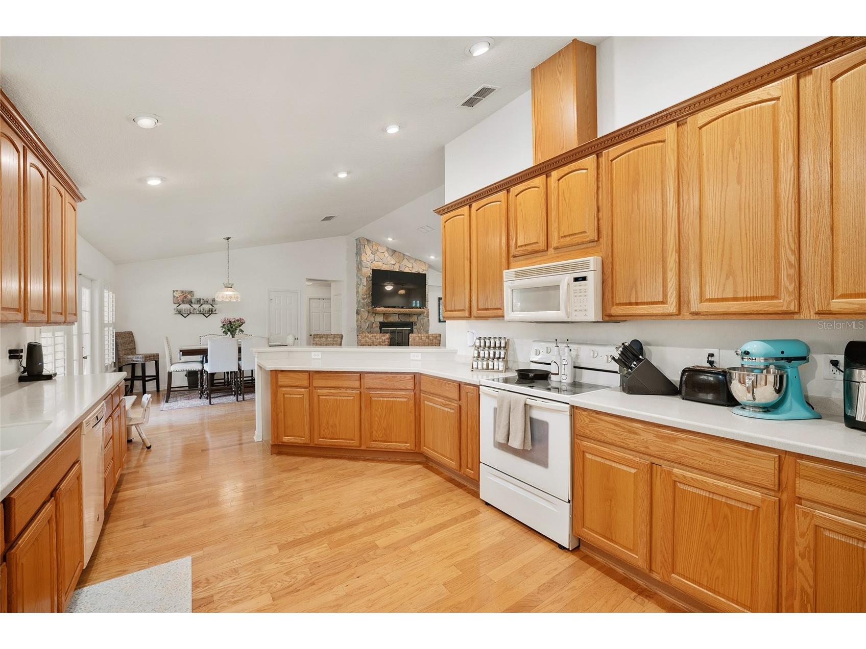 7330 NW 137th Avenue Morriston FL 32668 OM724523 image21