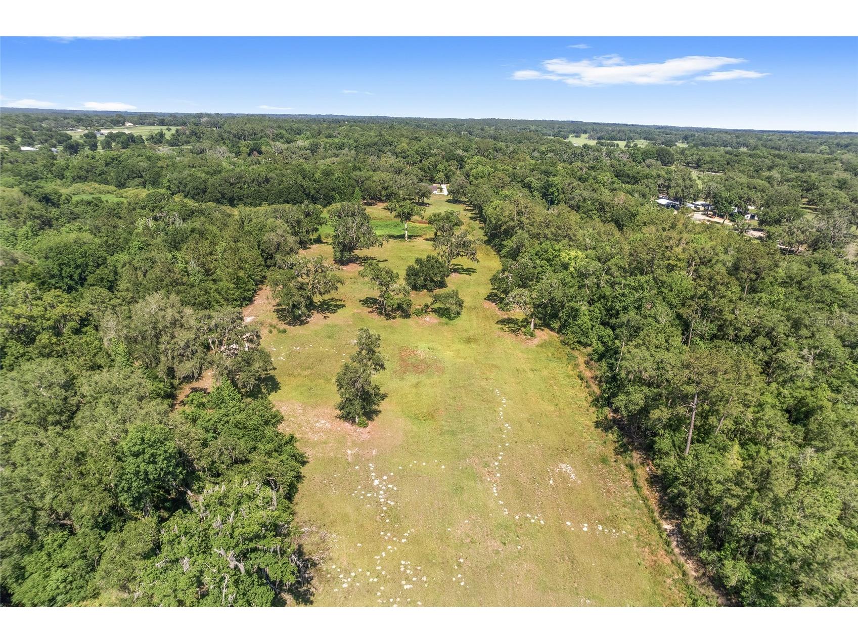 7330 NW 137th Avenue Morriston FL 32668 OM724523 image43