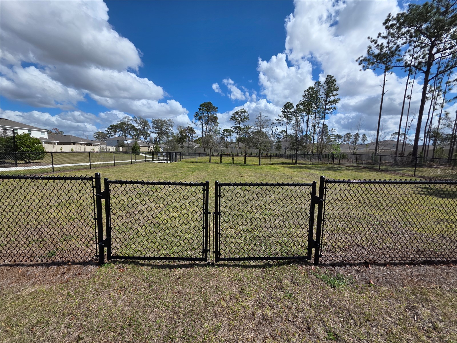 7330 Rome Lane Brooksville FL 34613 TB8507995 image44