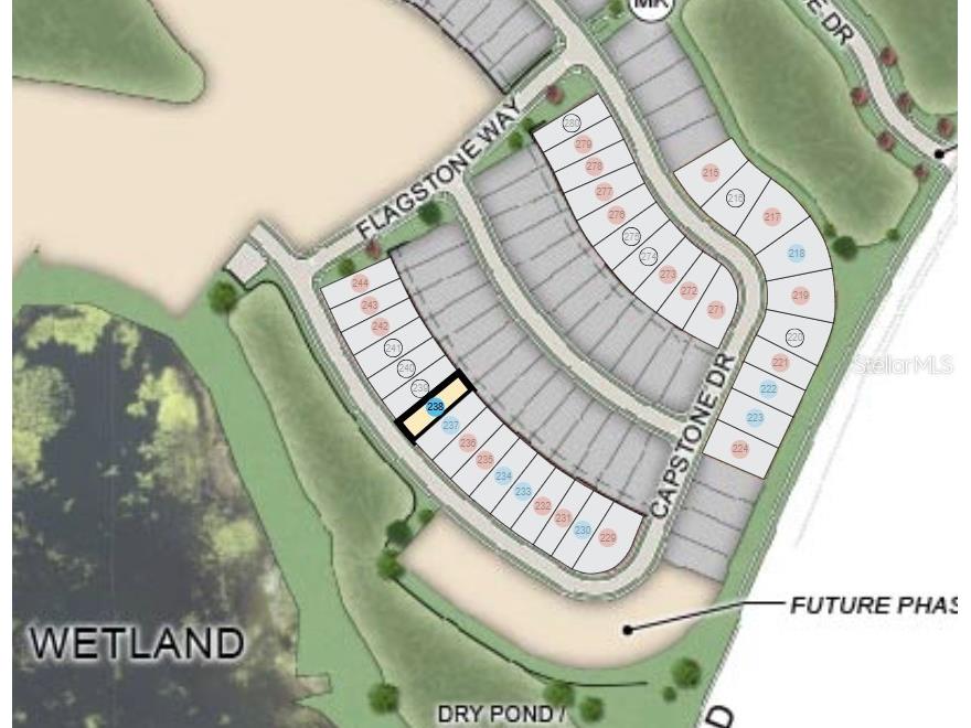 7331 Capstone Drive Groveland FL 34736 O6342748 image43