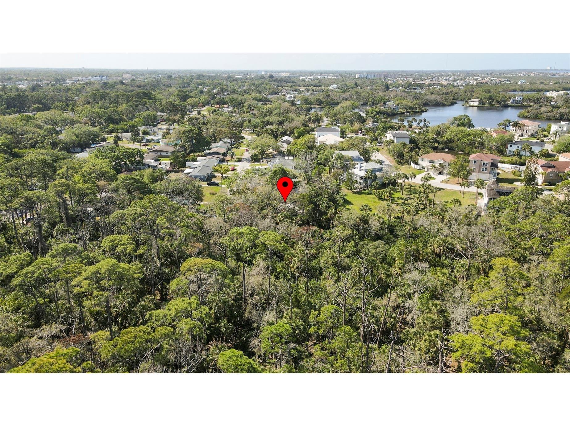 7331 Dianne Drive New Port Richey FL 34652 TB8496365 image41