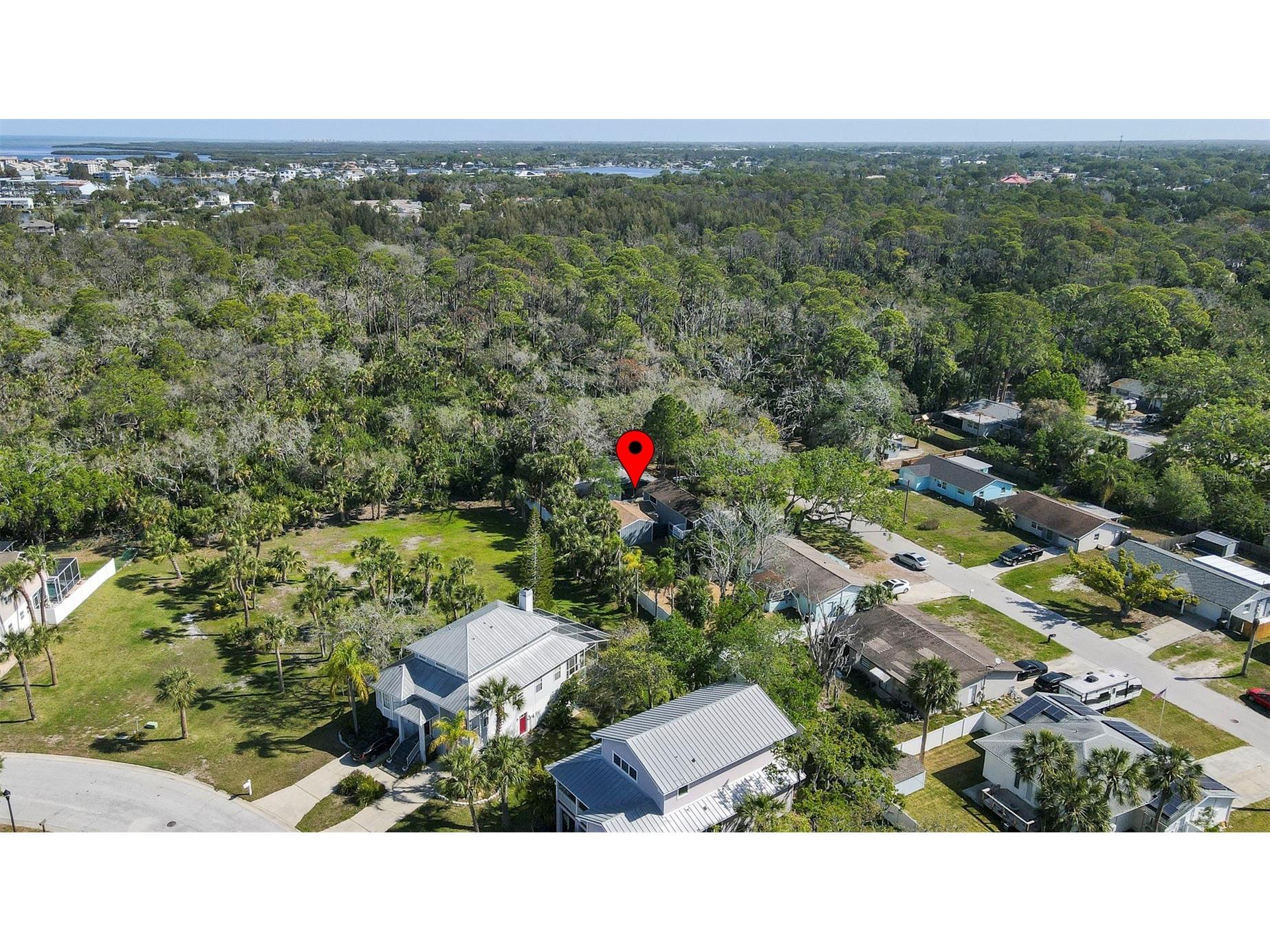 7331 Dianne Drive New Port Richey FL 34652 TB8496365 image42
