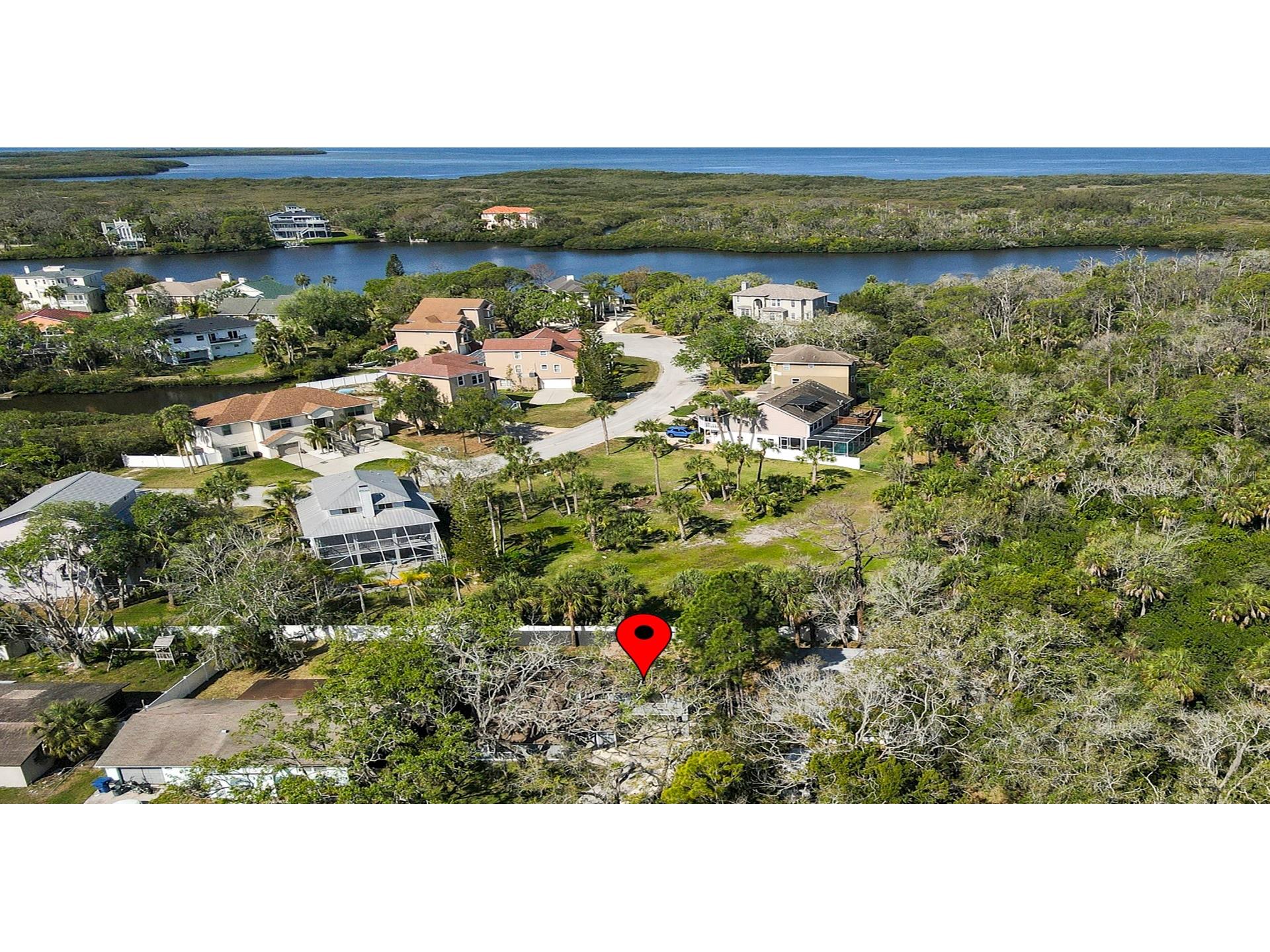 7331 Dianne Drive New Port Richey FL 34652 TB8496365 image43