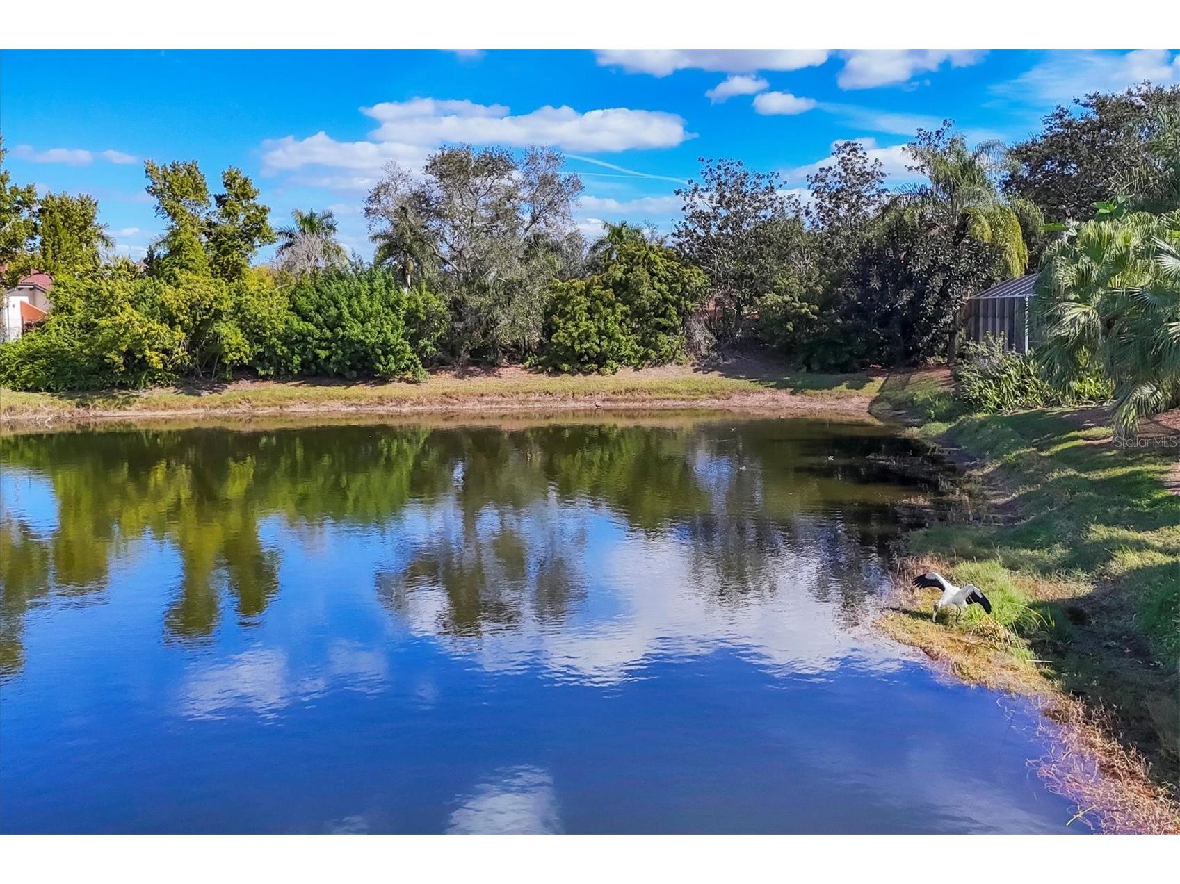 7331 Saint Georges Way University Park FL 34201 A4677994 image69