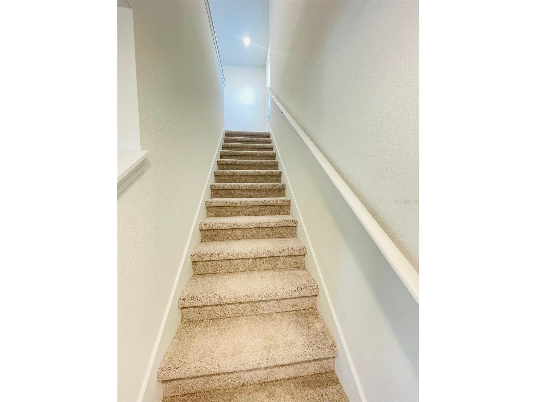 7333 Ivy Tendril Avenue Orlando FL 32829 O6400936 image16