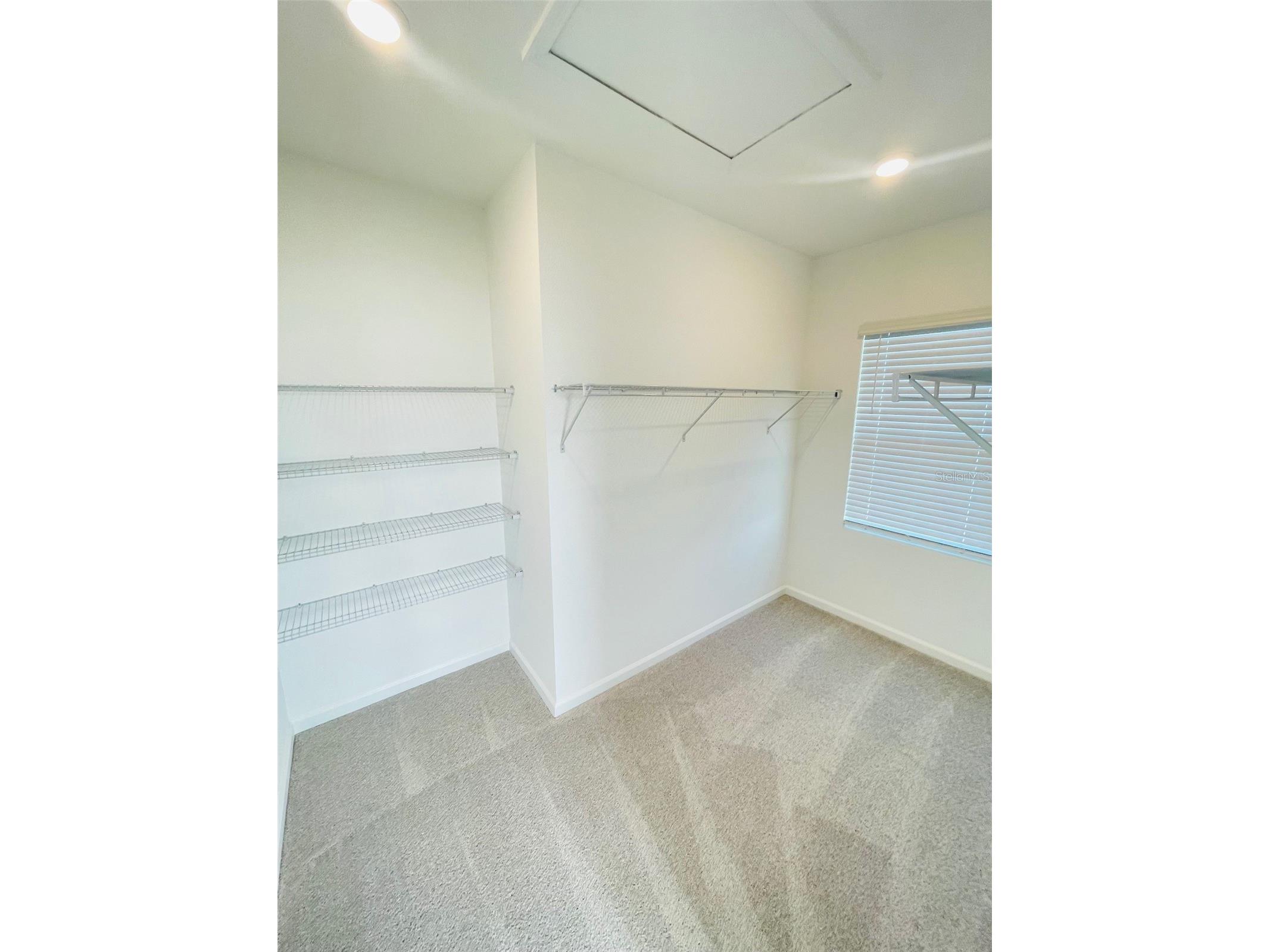 7333 Ivy Tendril Avenue Orlando FL 32829 O6400936 image21