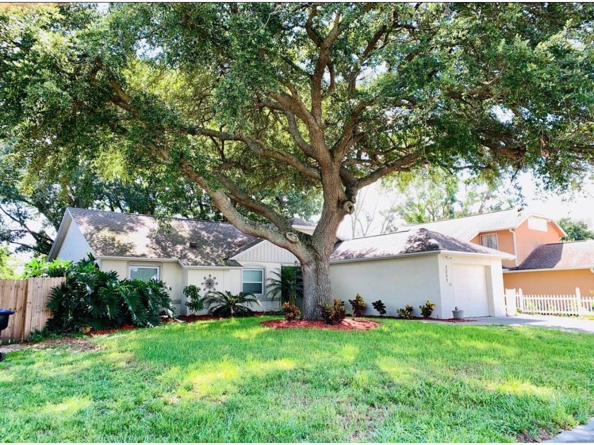 7333 Radiant Circle Orlando FL 32810 G5113540 image3