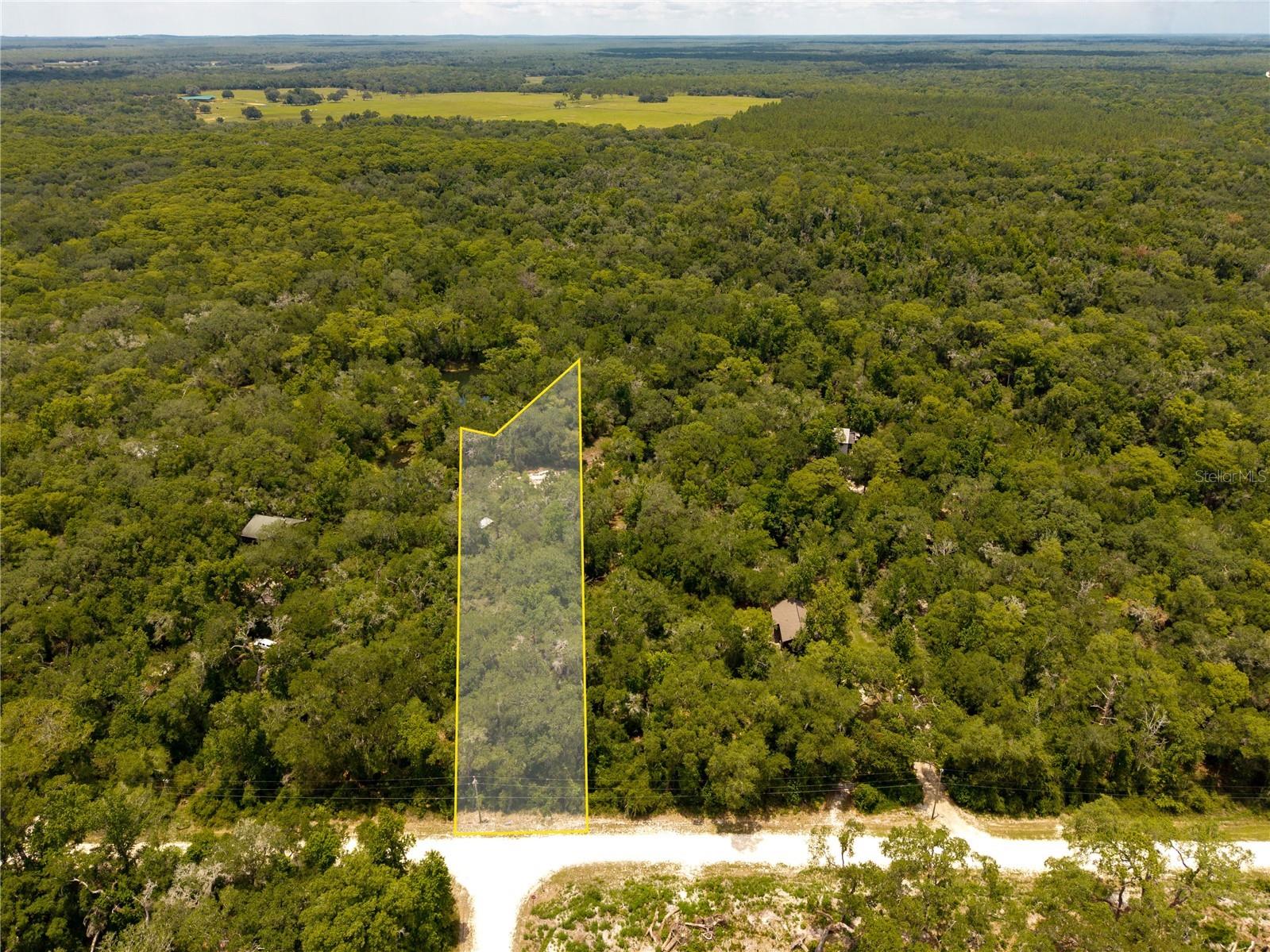 7333 Riverview Drive Webster FL 33597 W7886641 image1