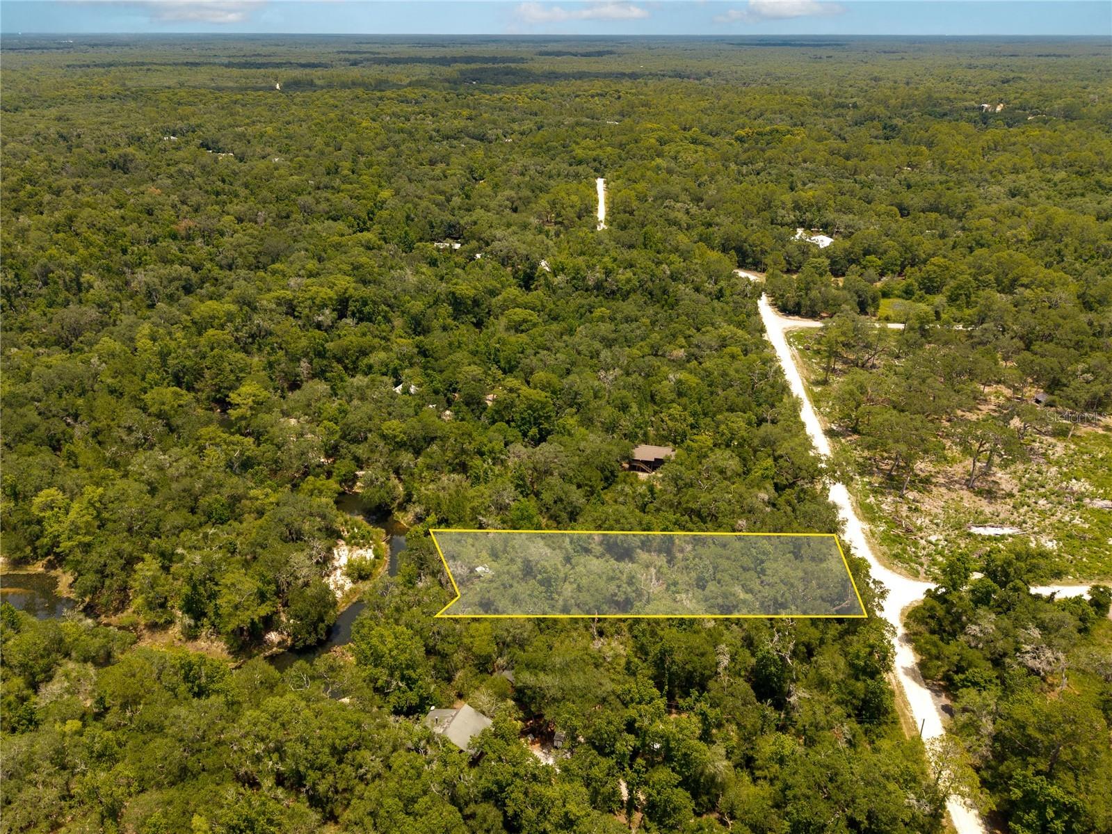 7333 Riverview Drive Webster FL 33597 W7886641 image3