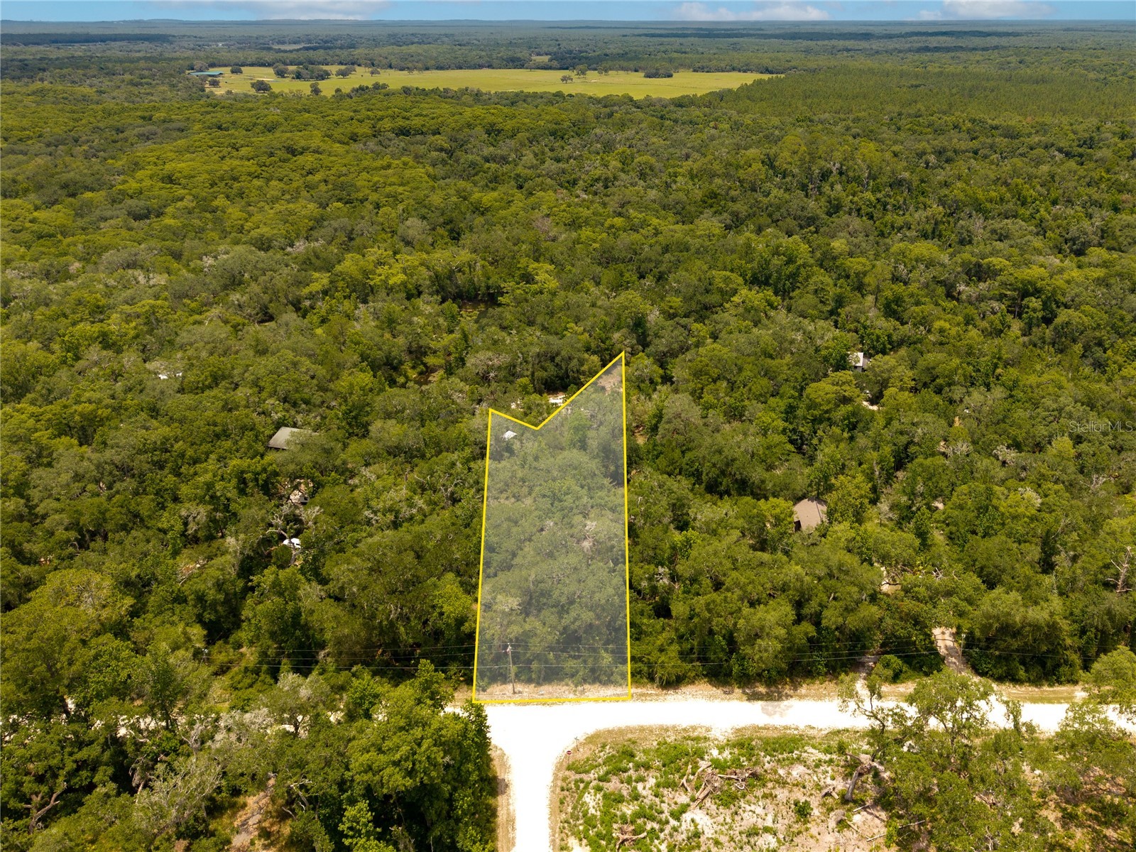 7333 Riverview Drive Webster FL 33597 W7886641 image5