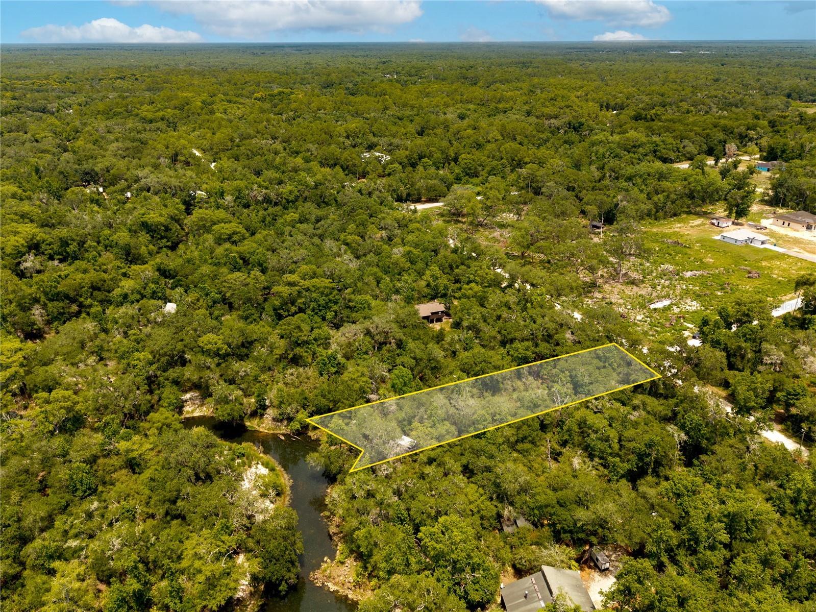 7333 Riverview Drive Webster FL 33597 W7886641 image6