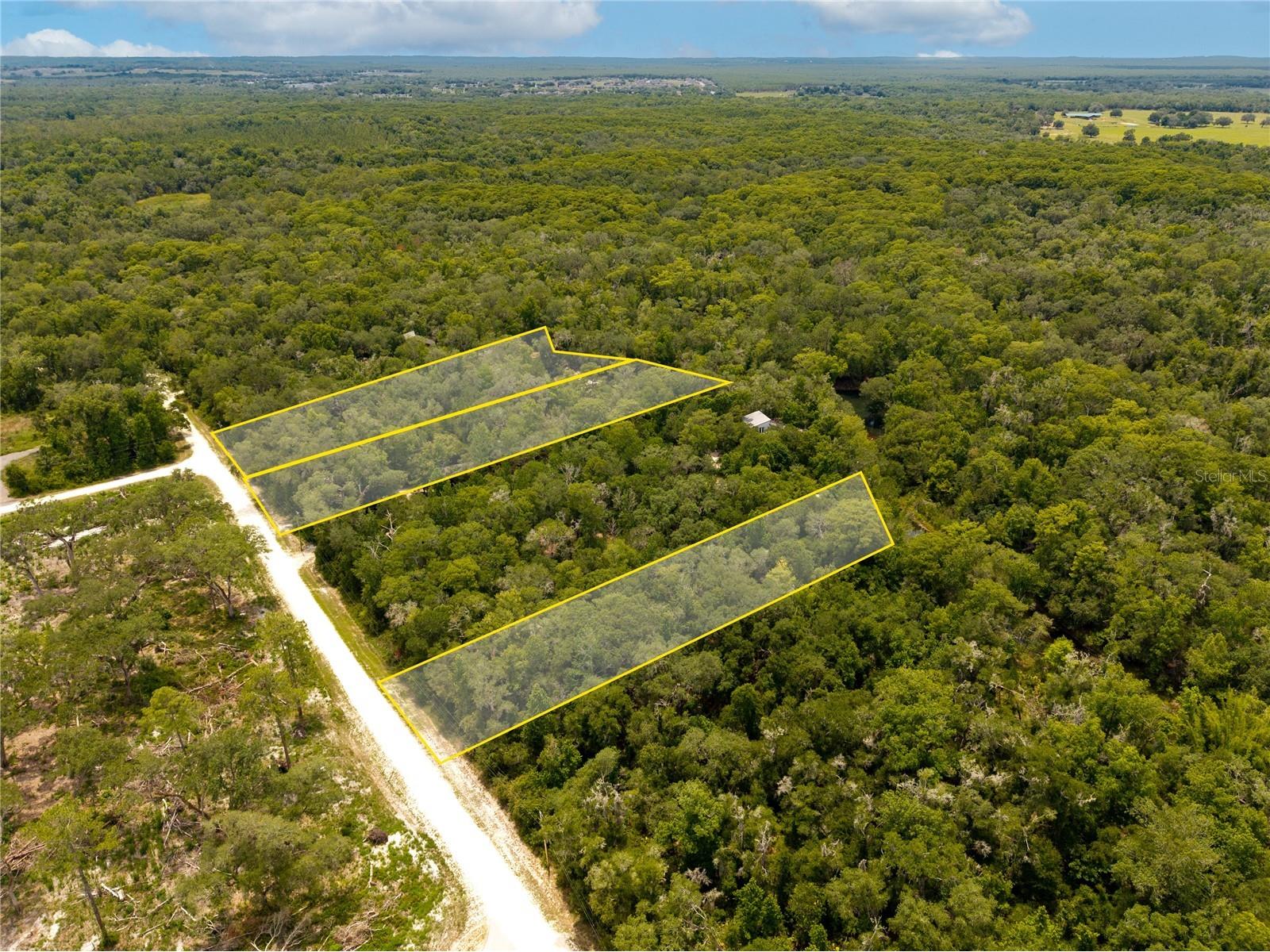 7333 Riverview Drive Webster FL 33597 W7886641 image8