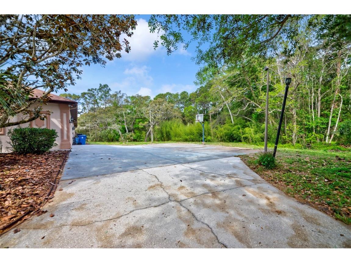 7333 Royal Oak Drive Spring Hill FL 34607 TB8371012 image60