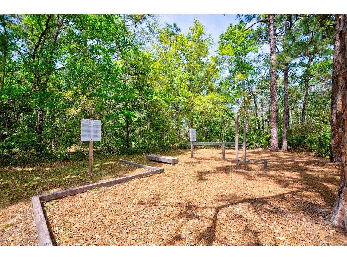 7333 Royal Oak Drive Spring Hill FL 34607 TB8371012 image87