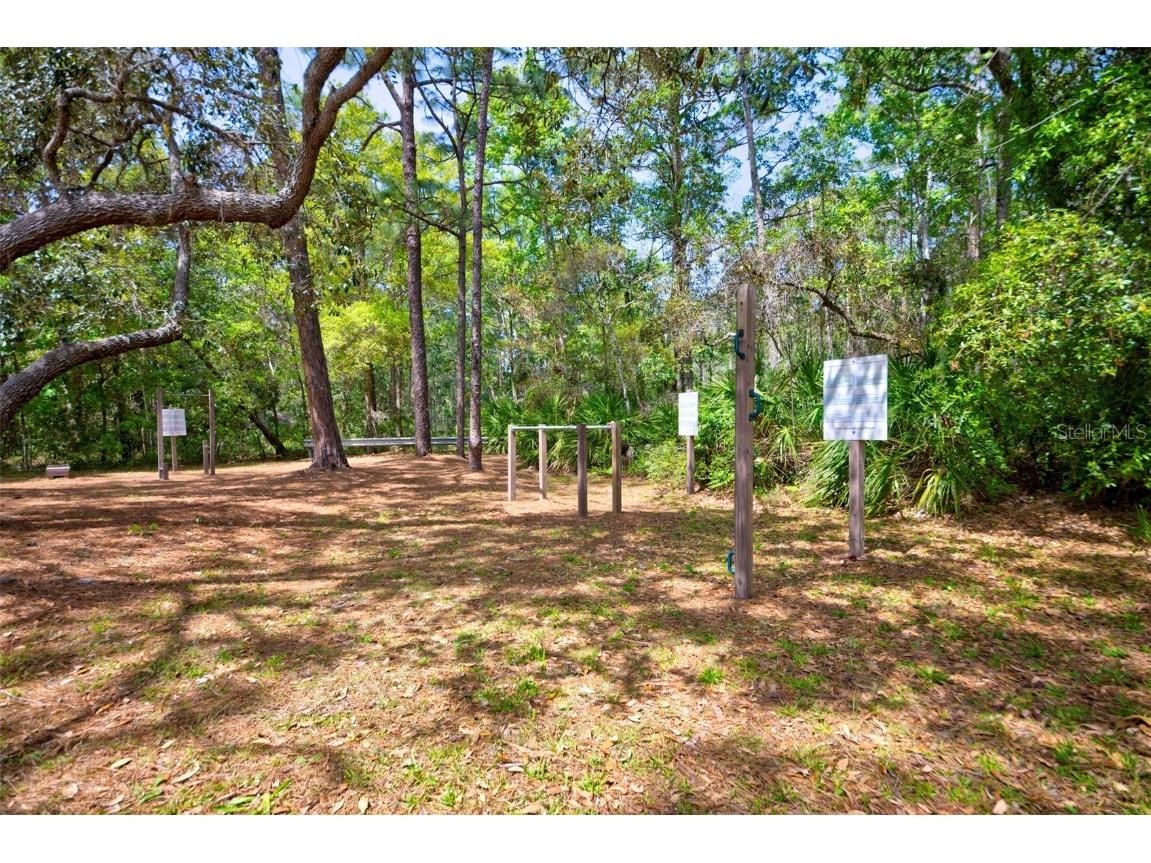 7333 Royal Oak Drive Spring Hill FL 34607 TB8371012 image94