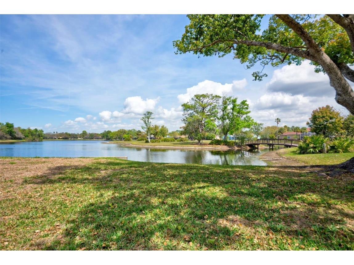 7333 Royal Oak Drive Spring Hill FL 34607 TB8371012 image96