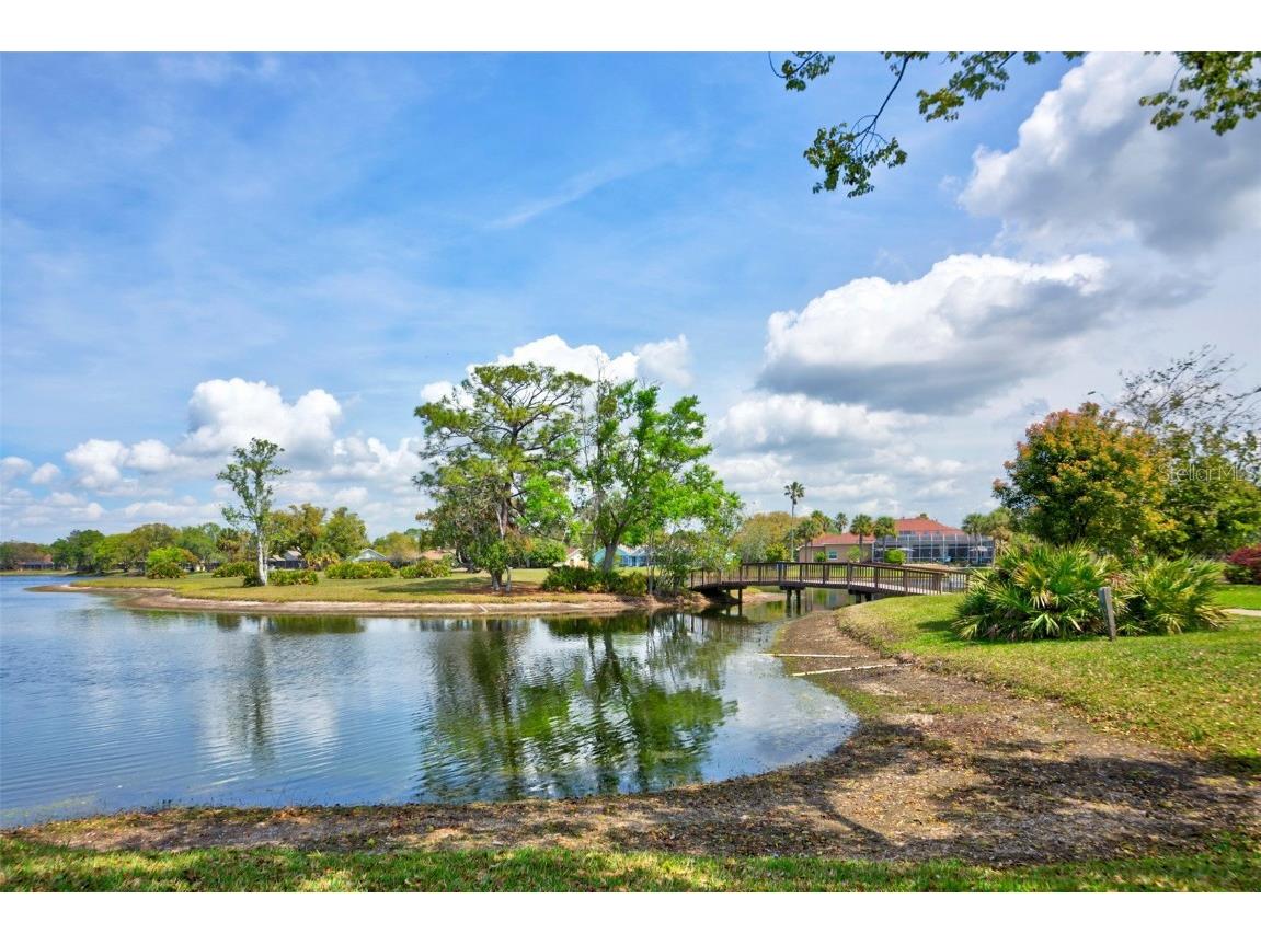 7333 Royal Oak Drive Spring Hill FL 34607 TB8371012 image97