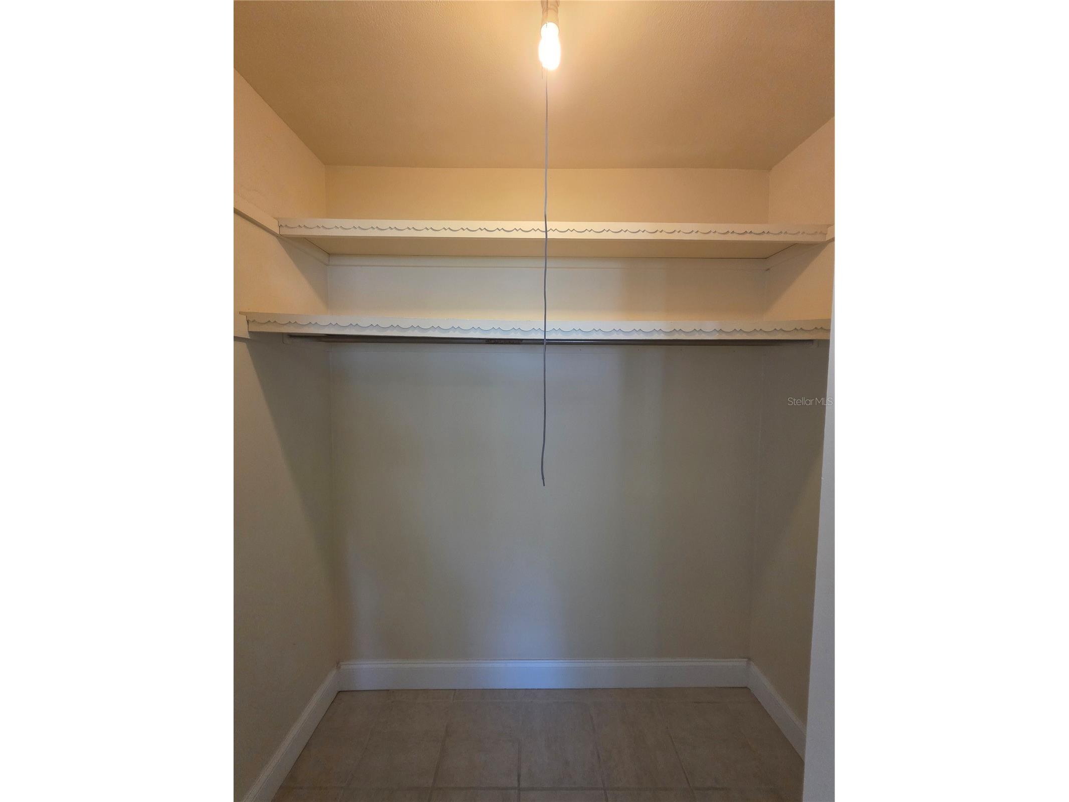 7334 Ponderosa Drive Tampa FL 33637 TB8519555 image14
