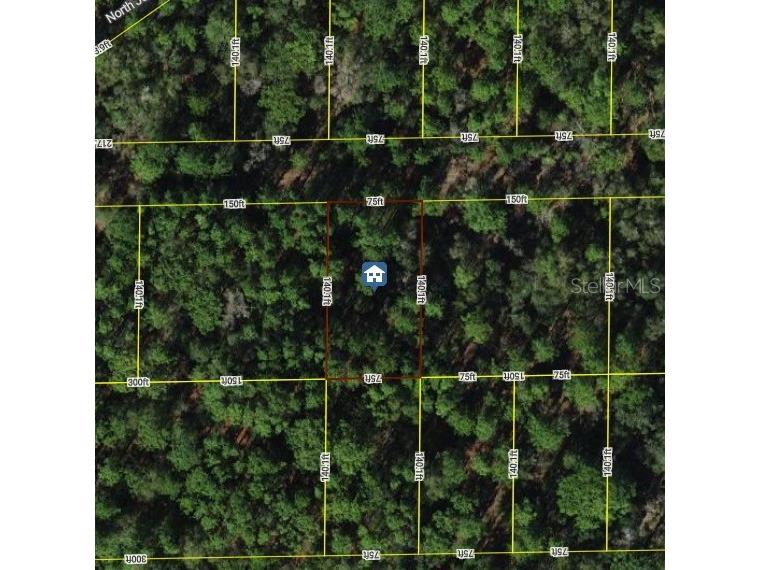 7334 W Contentment Lane Dunnellon FL 34433 OM711898 image1