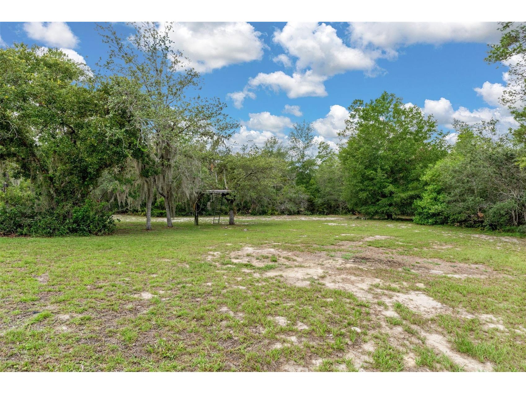 7335 Blackbird Avenue Weeki Wachee FL 34613 W7887290 image47