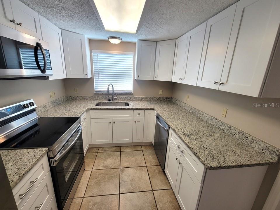 7335 Castanea Drive Port Richey FL 34668 W7887504 image10